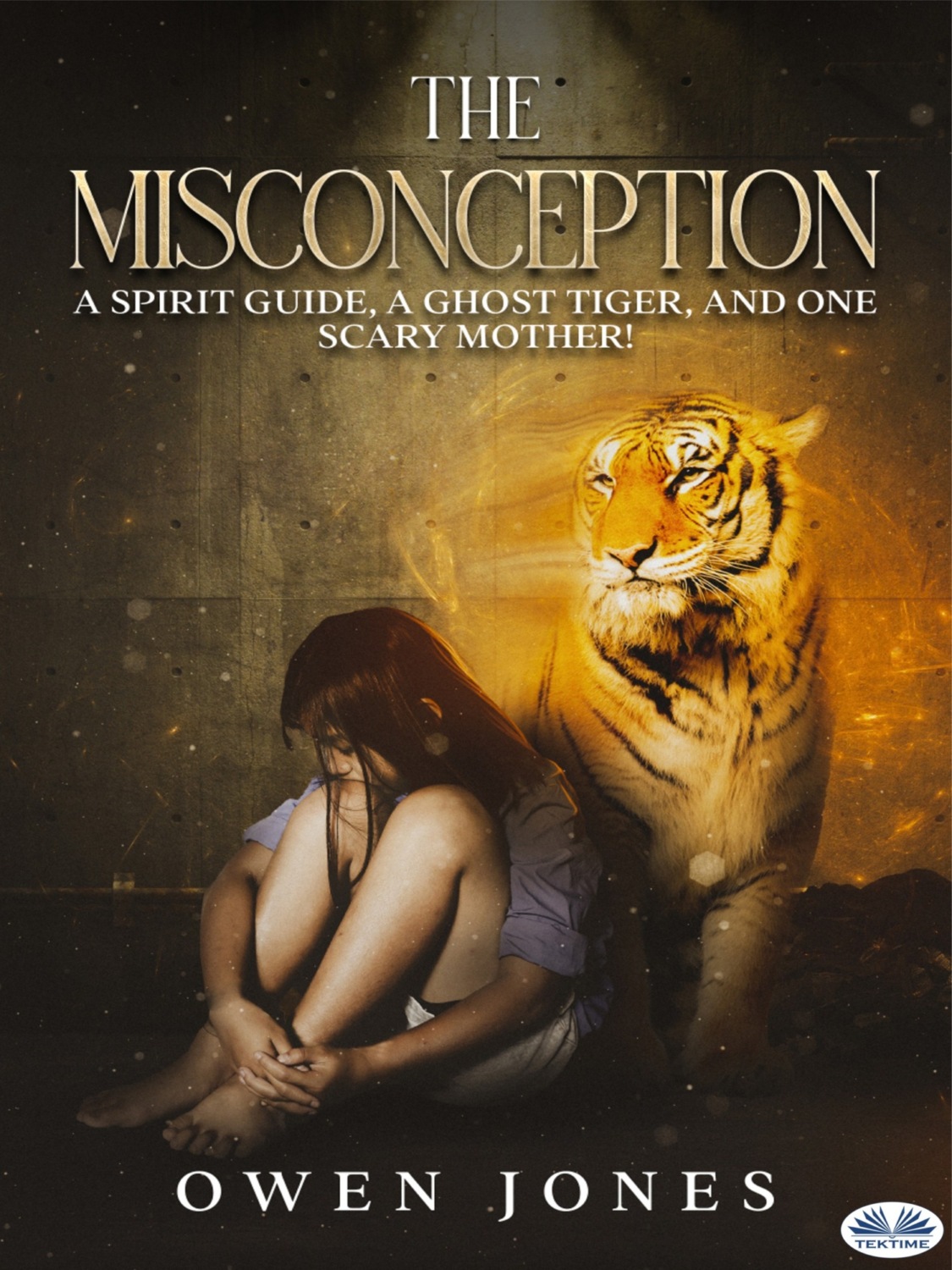 Обложка книги «The Misconception»