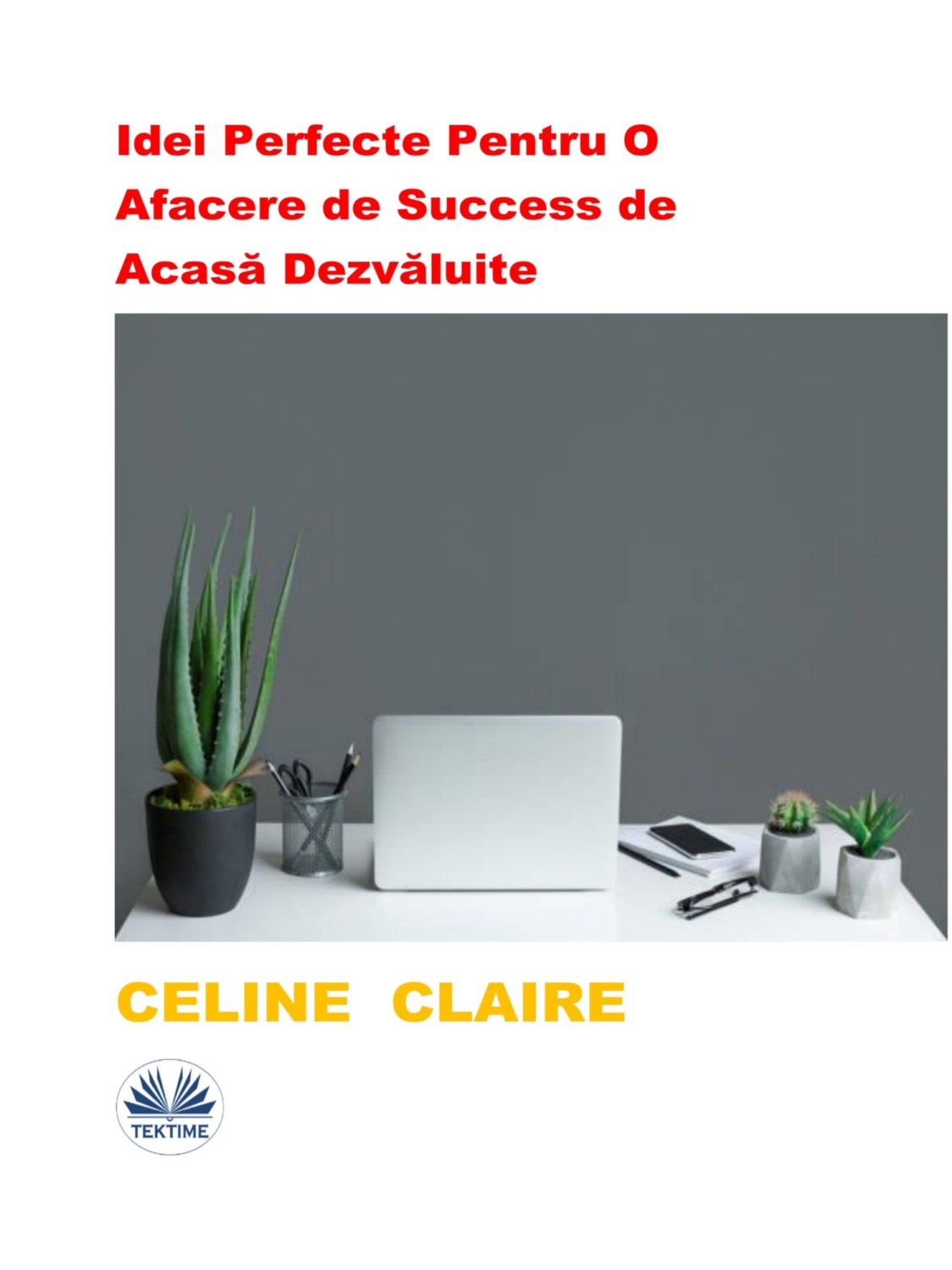 Обложка книги «Idei Perfecte Pentru O Afacere De Success De Acasă Dezvăluite»