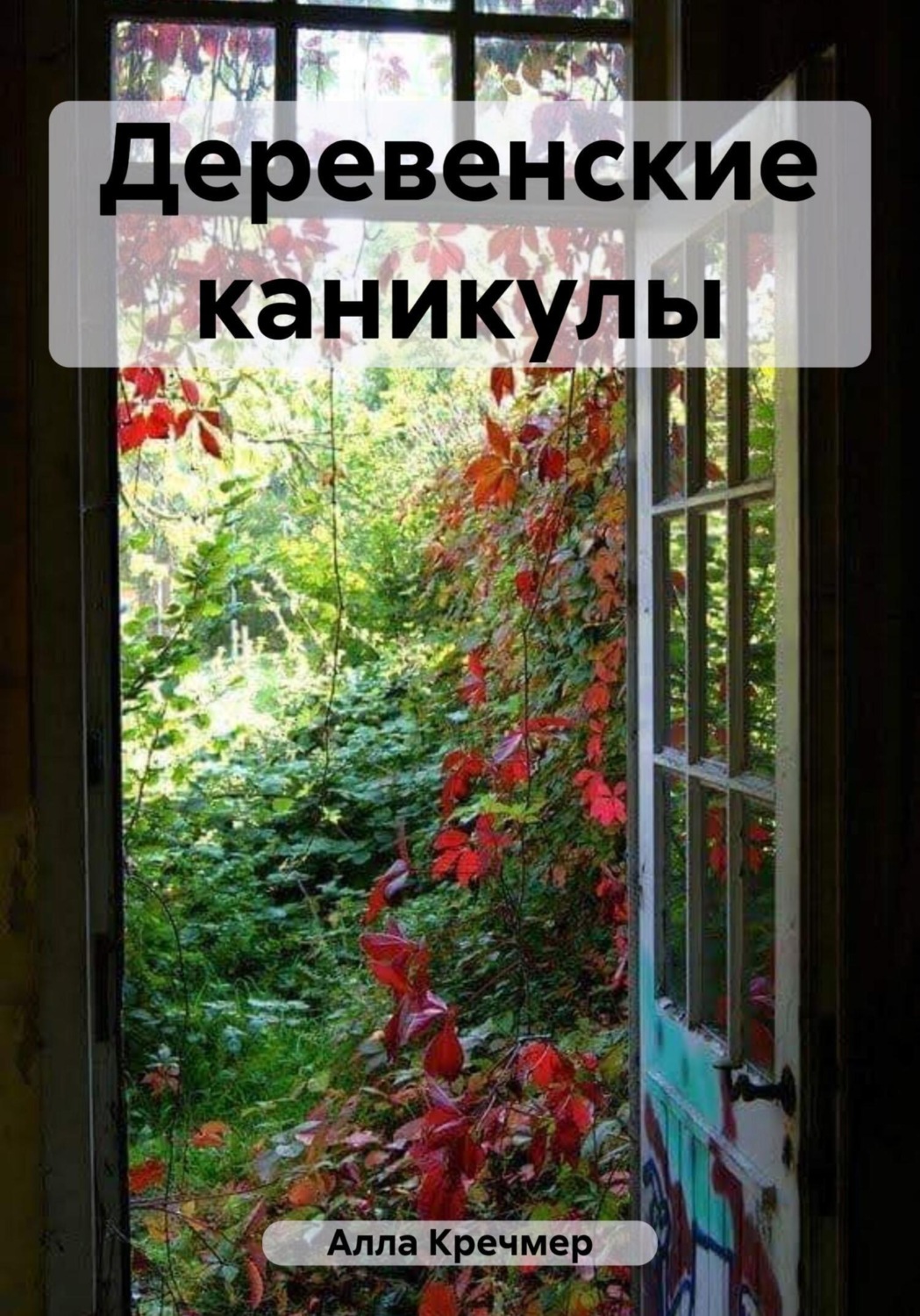 Обложка книги «Деревенские каникулы»