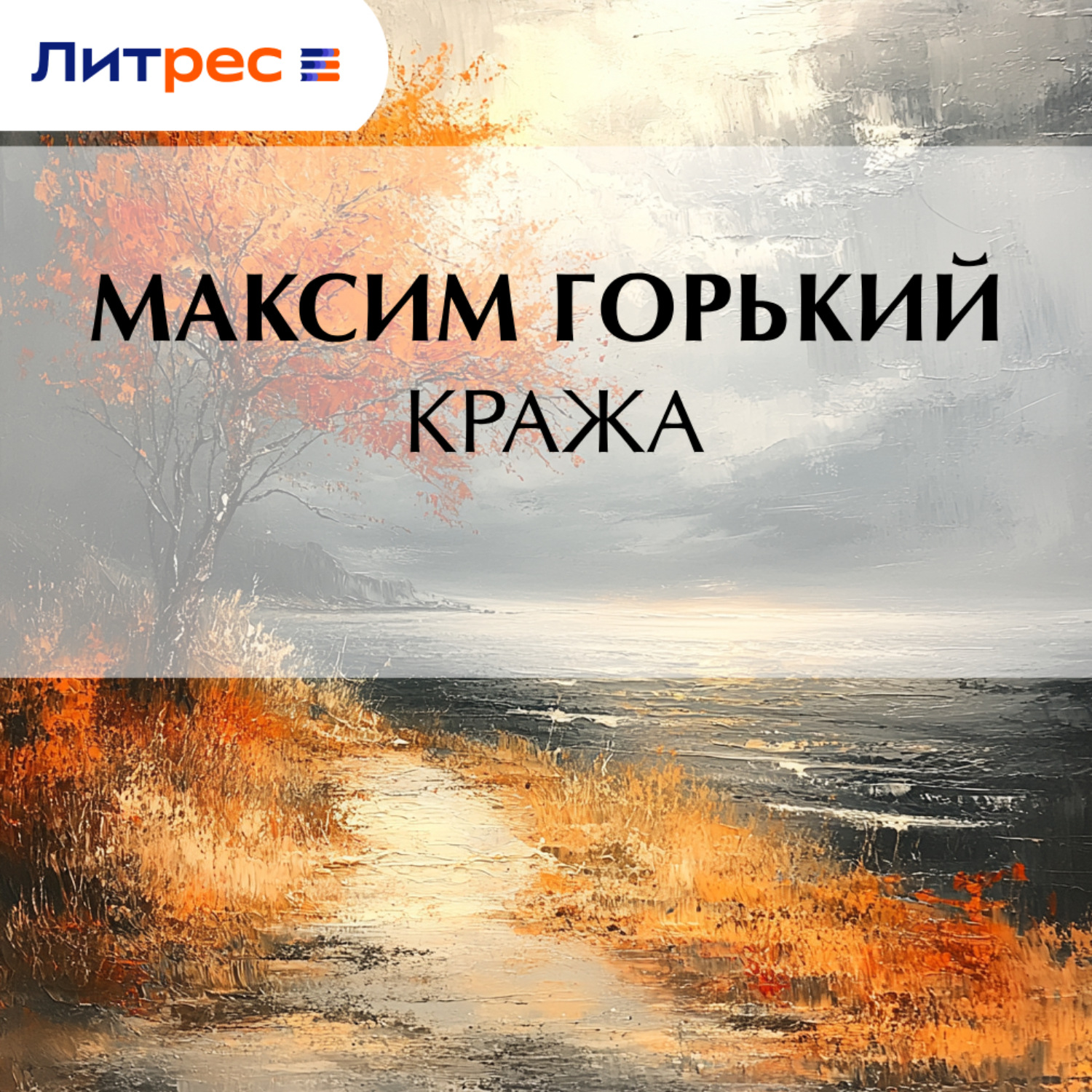 Обложка книги «Кража»