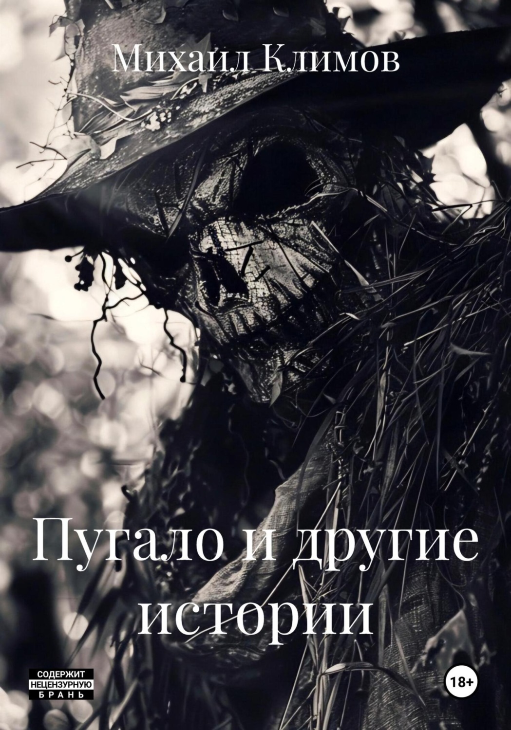 Обложка книги «Пугало и другие истории»