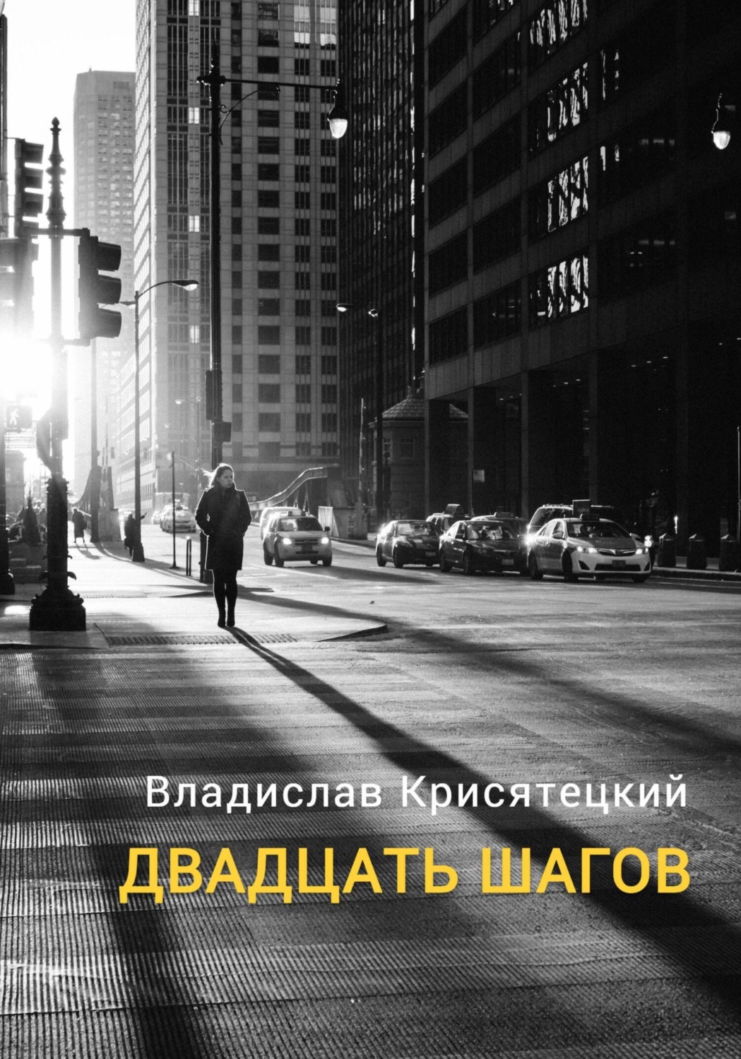 Обложка книги «Двадцать шагов»