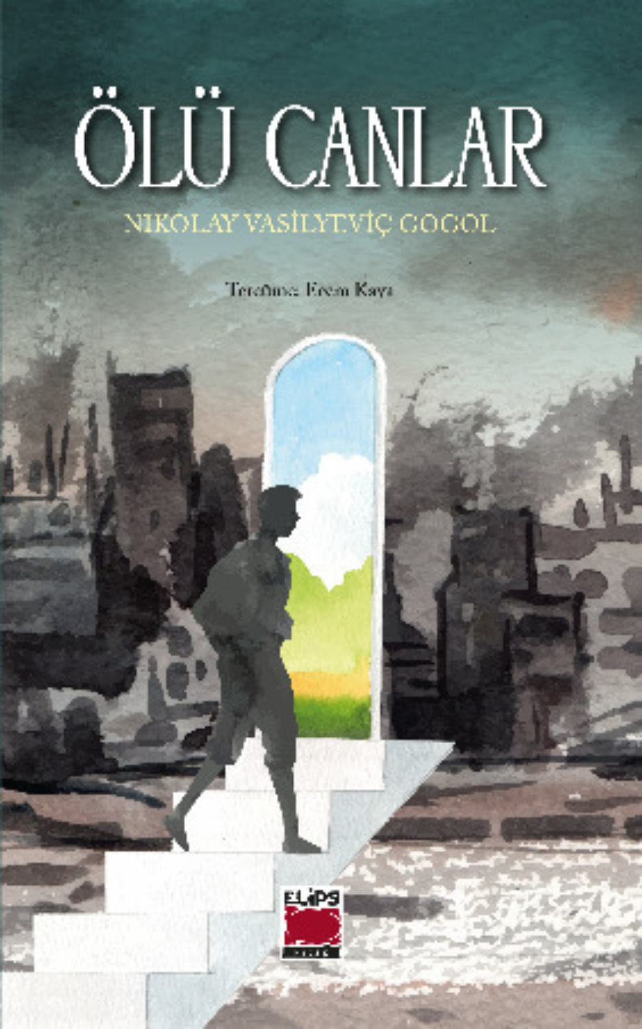 Обложка книги «Ölü Canlar»