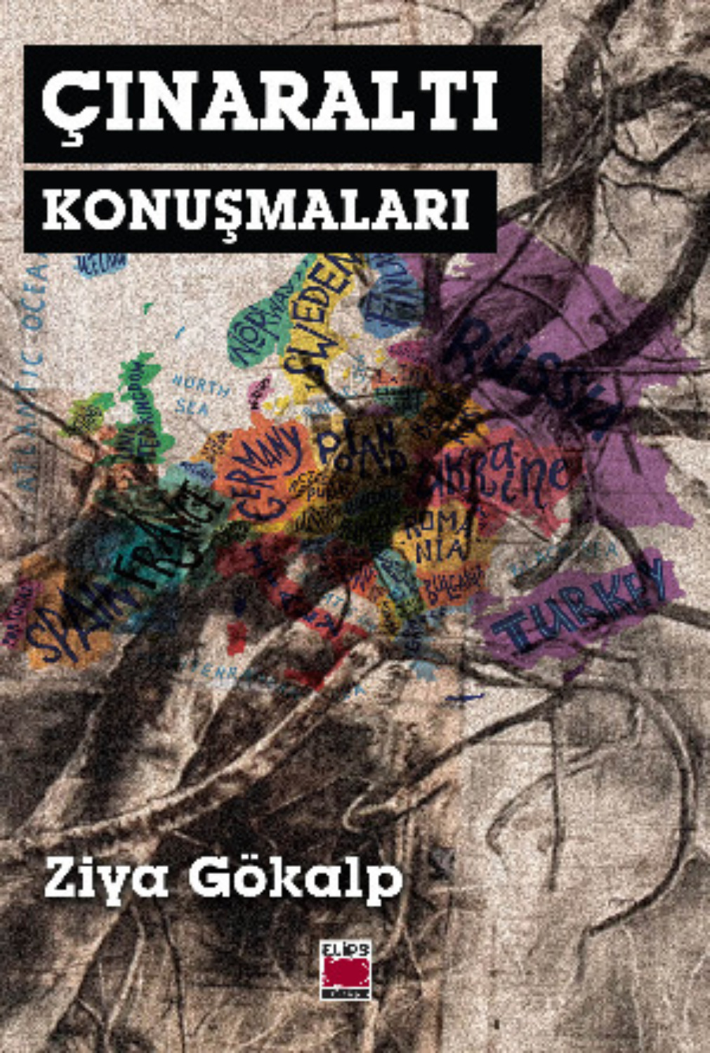 Обложка книги «Çınaraltı Konuşmaları»
