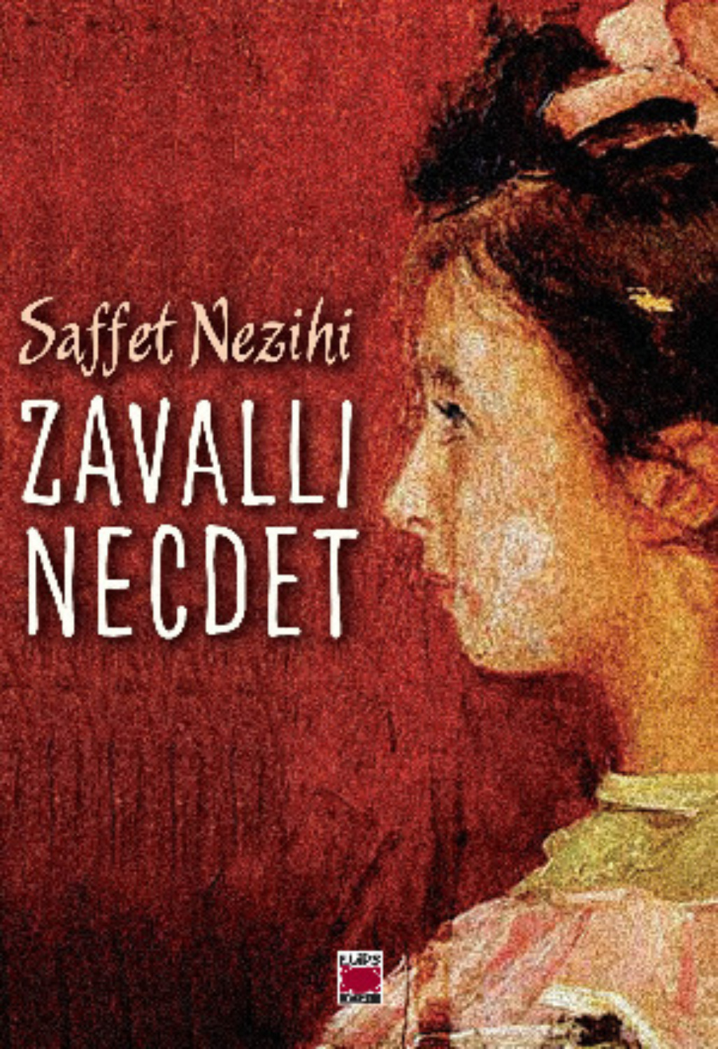 Обложка книги «Zavallı Necdet»