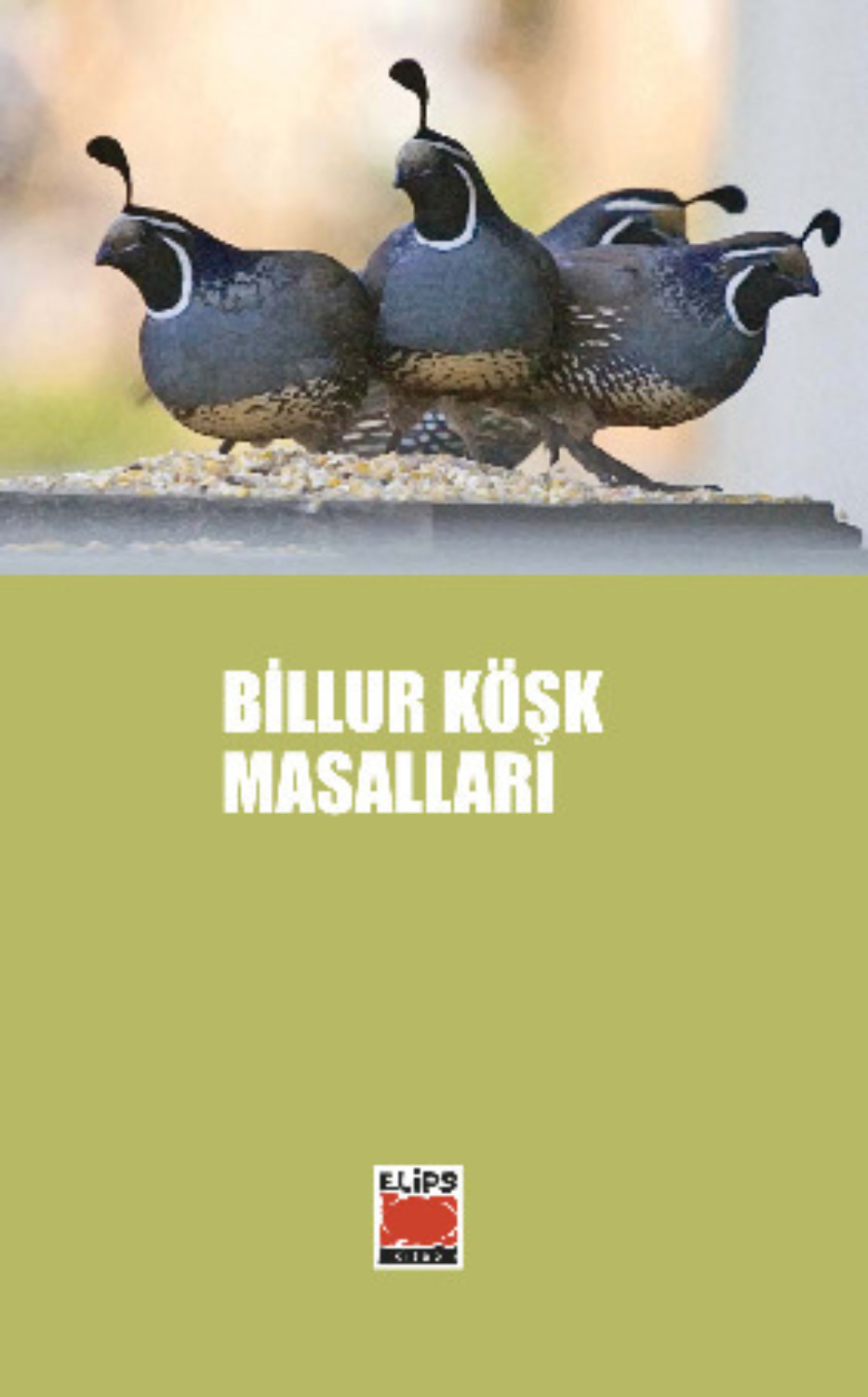Обложка книги «Billur Köşk Masalları»