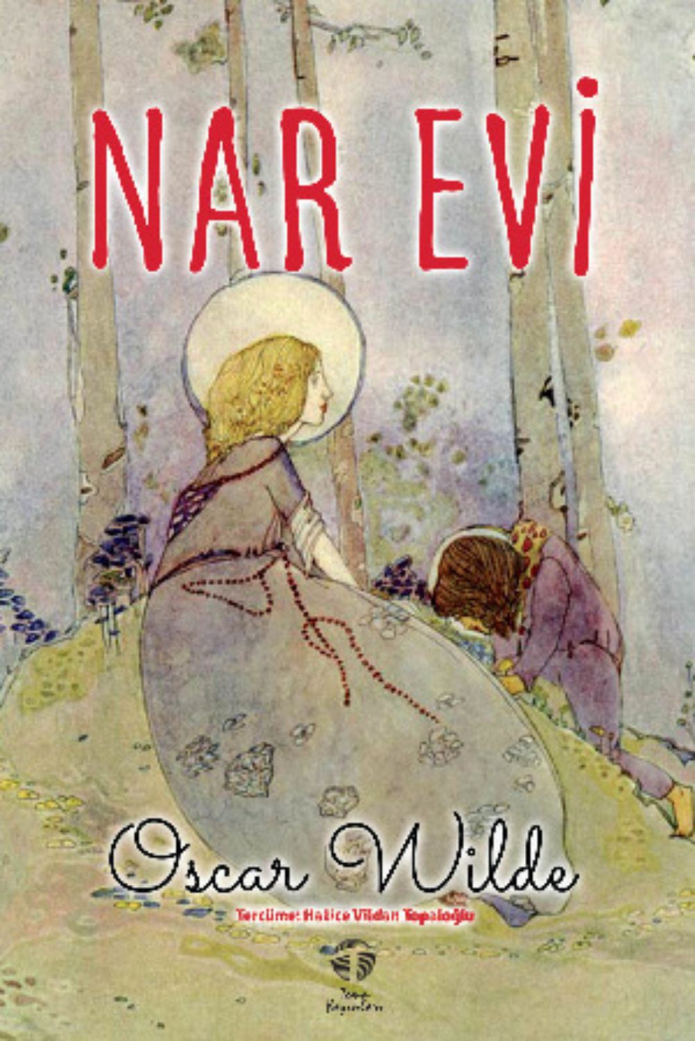 Обложка книги «Nar Evi»