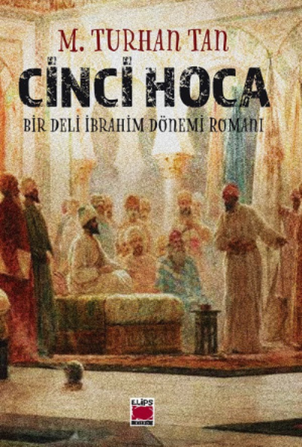 Обложка книги «Cinci Hoca»