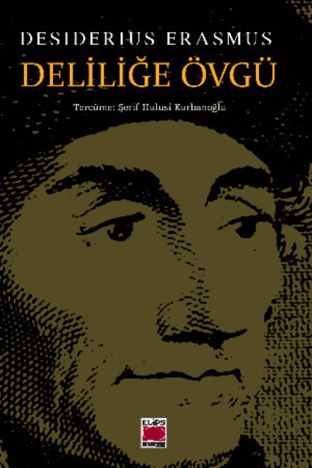 Обложка книги «Deliliğe Övgü»