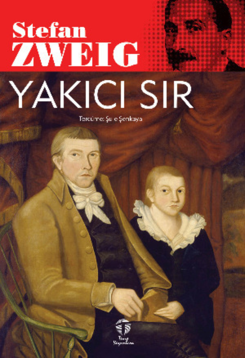 Обложка книги «Yakıcı Sır»