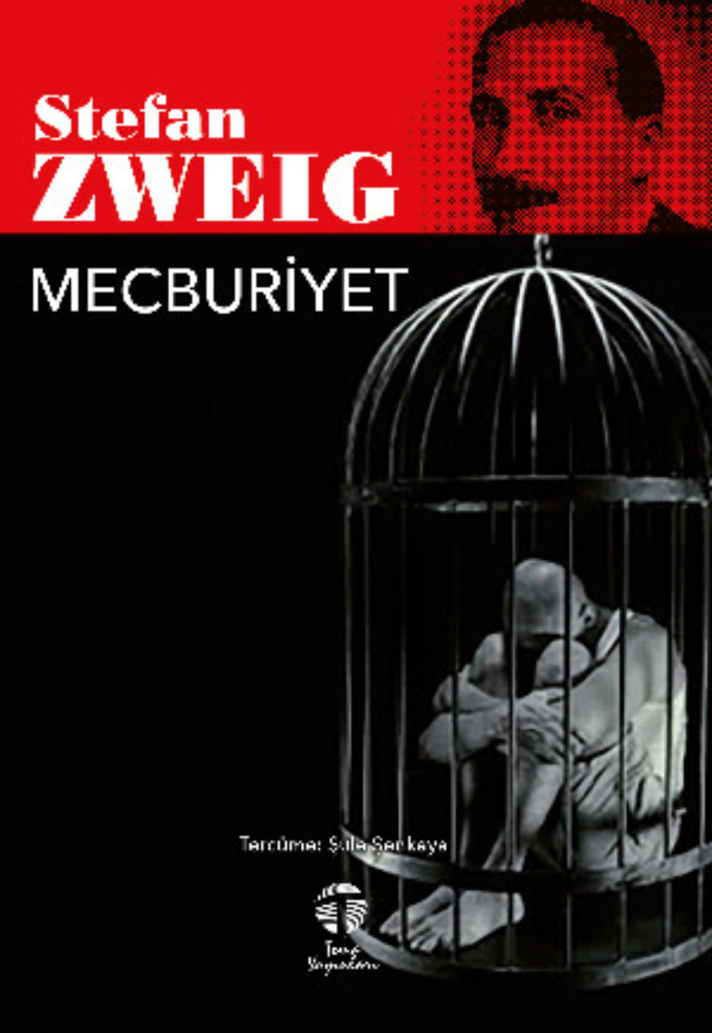 Обложка книги «Mecburiyet»