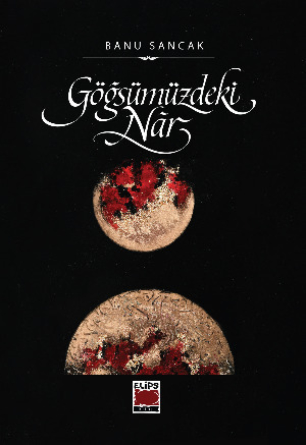 Обложка книги «Göğsümüzdeki Nâr»