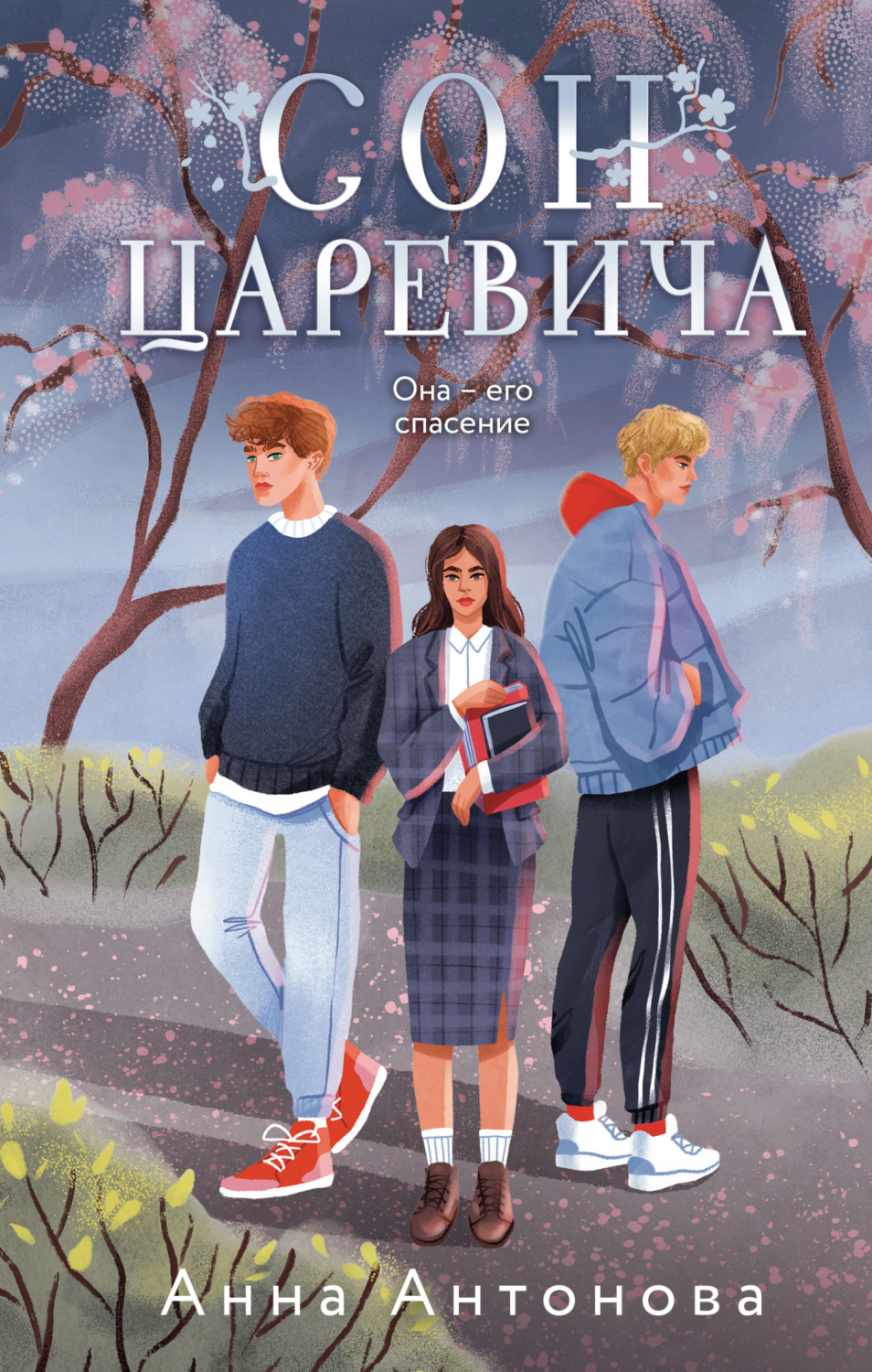 Обложка книги «Сон Царевича»