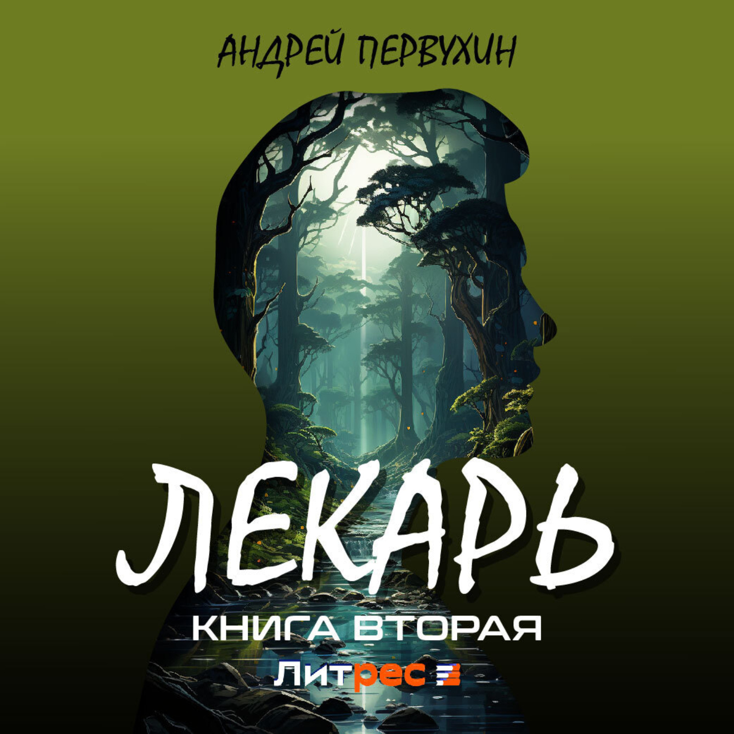 Обложка книги «Лекарь. Книга вторая»