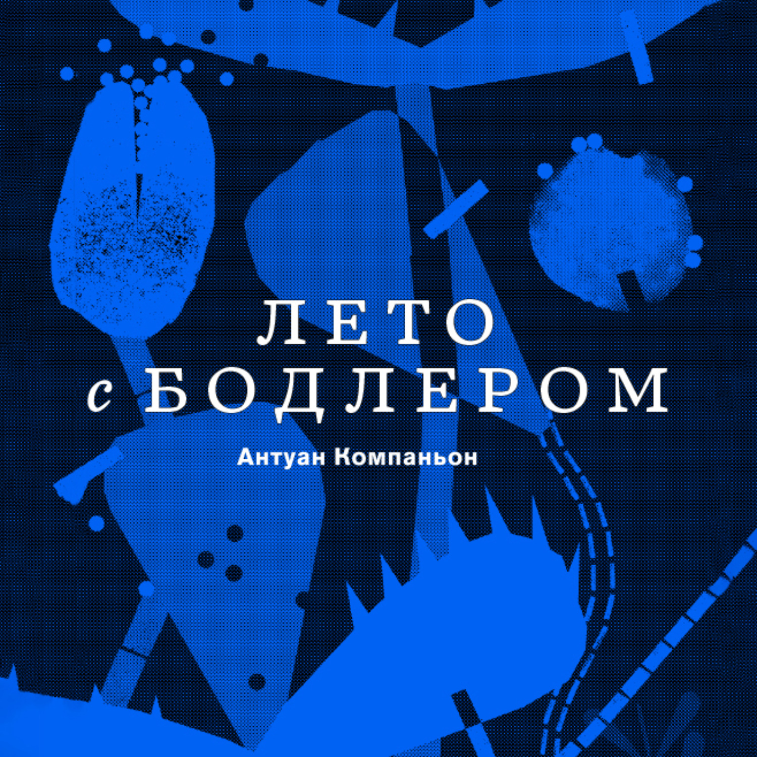 Обложка книги «Лето с Бодлером»