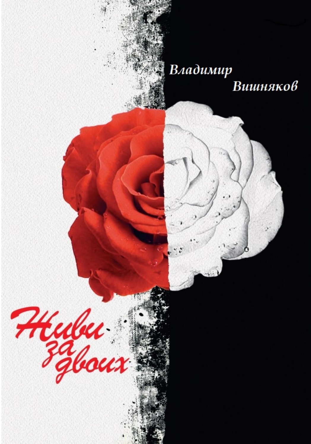 Обложка книги «Живи за двоих»
