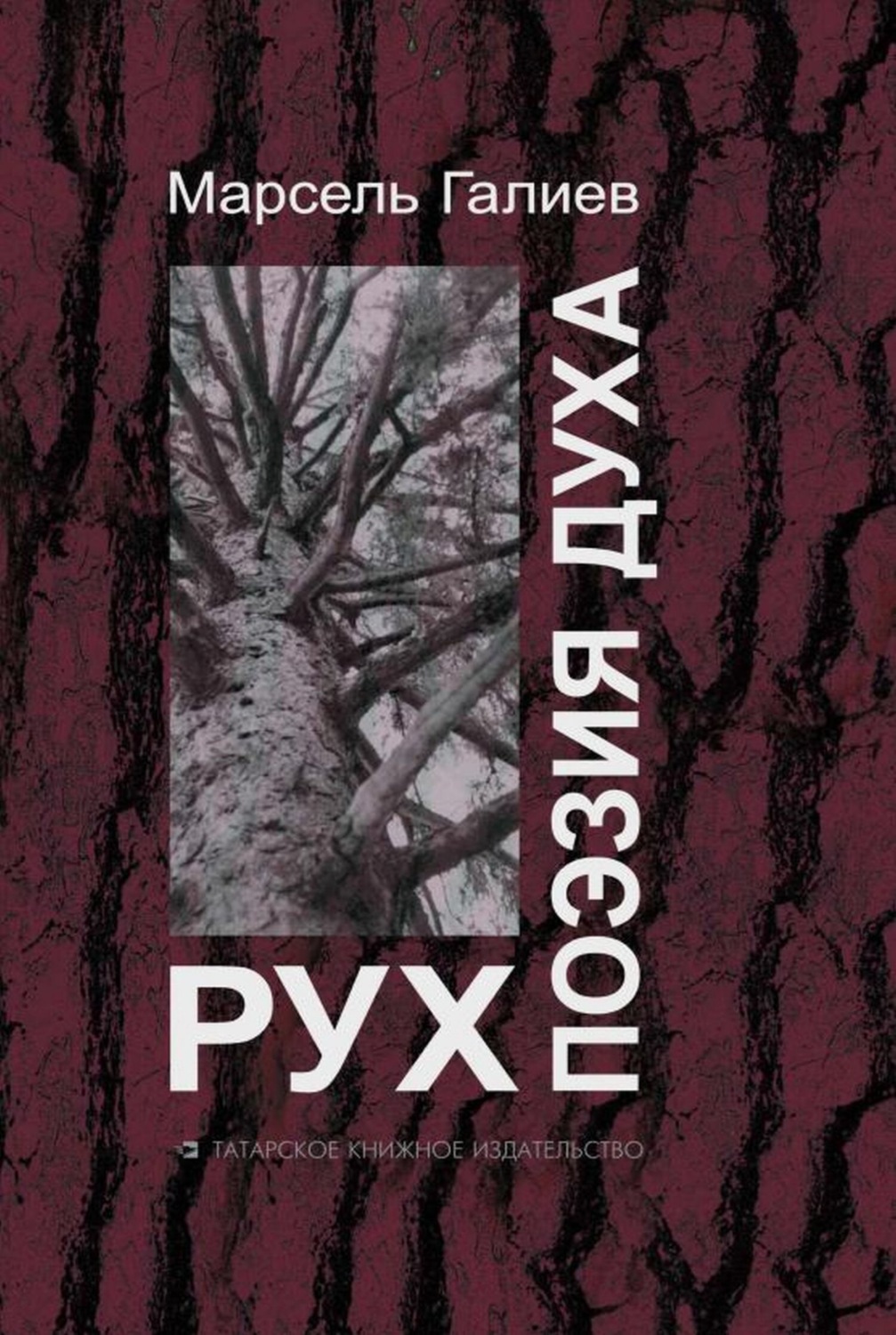 Обложка книги «Поэзия духа / Рух»