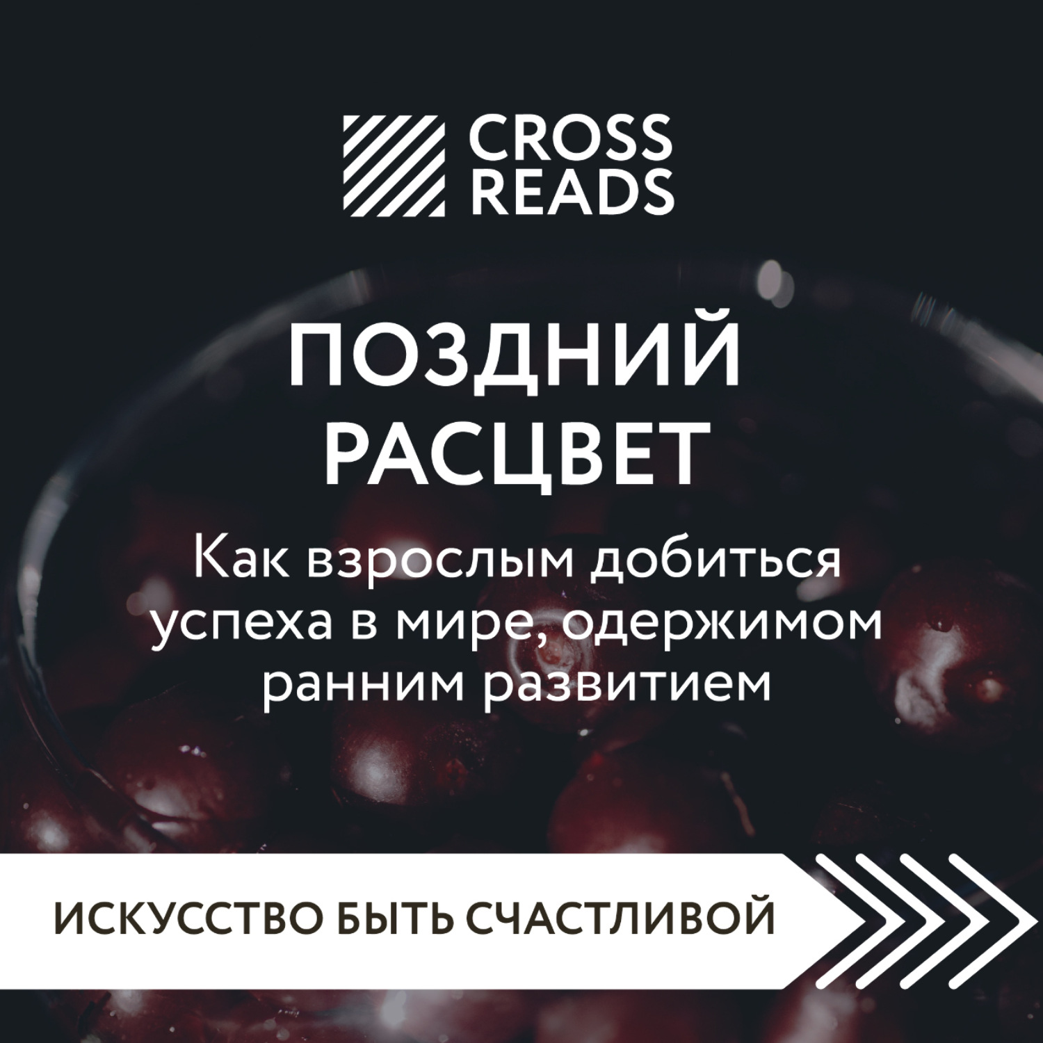 Обложка книги «Саммари книги «Поздний расцвет. Как взрослым добиться успеха в мире, одержимом ранним развитием»»