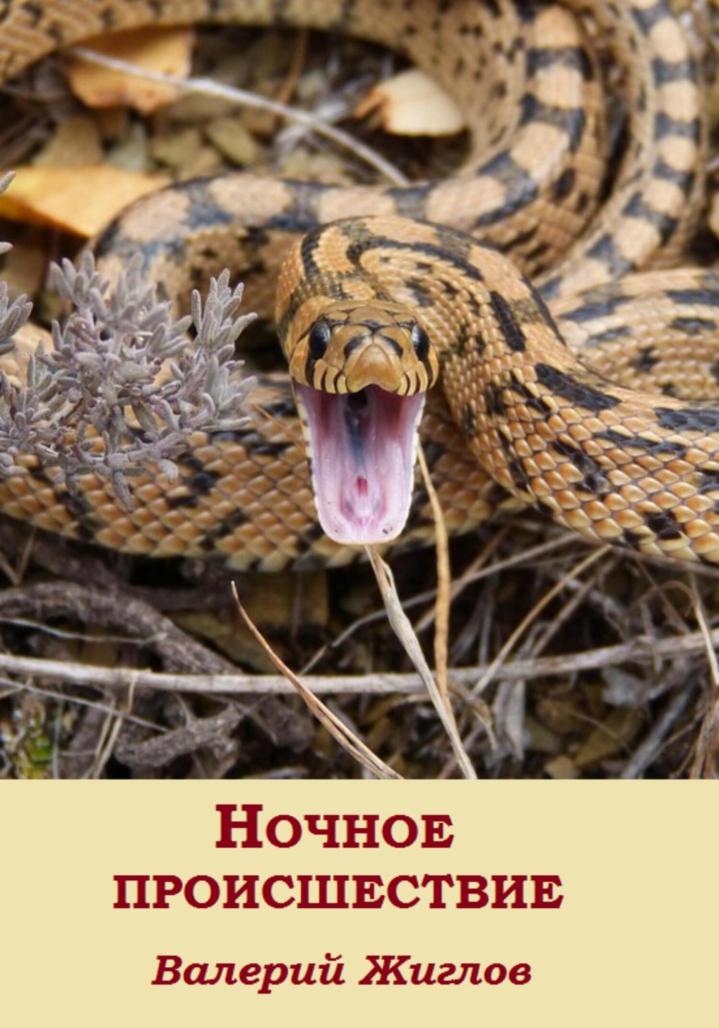 Обложка книги «Ночное происшествие»