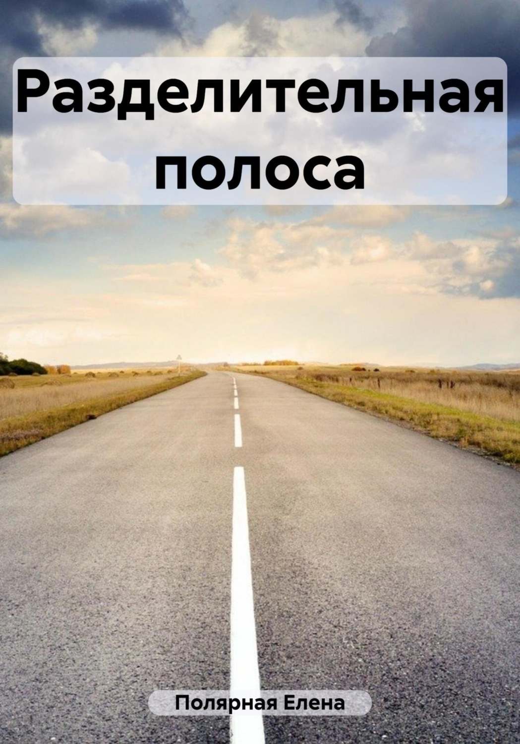 Обложка книги «Разделительная полоса»