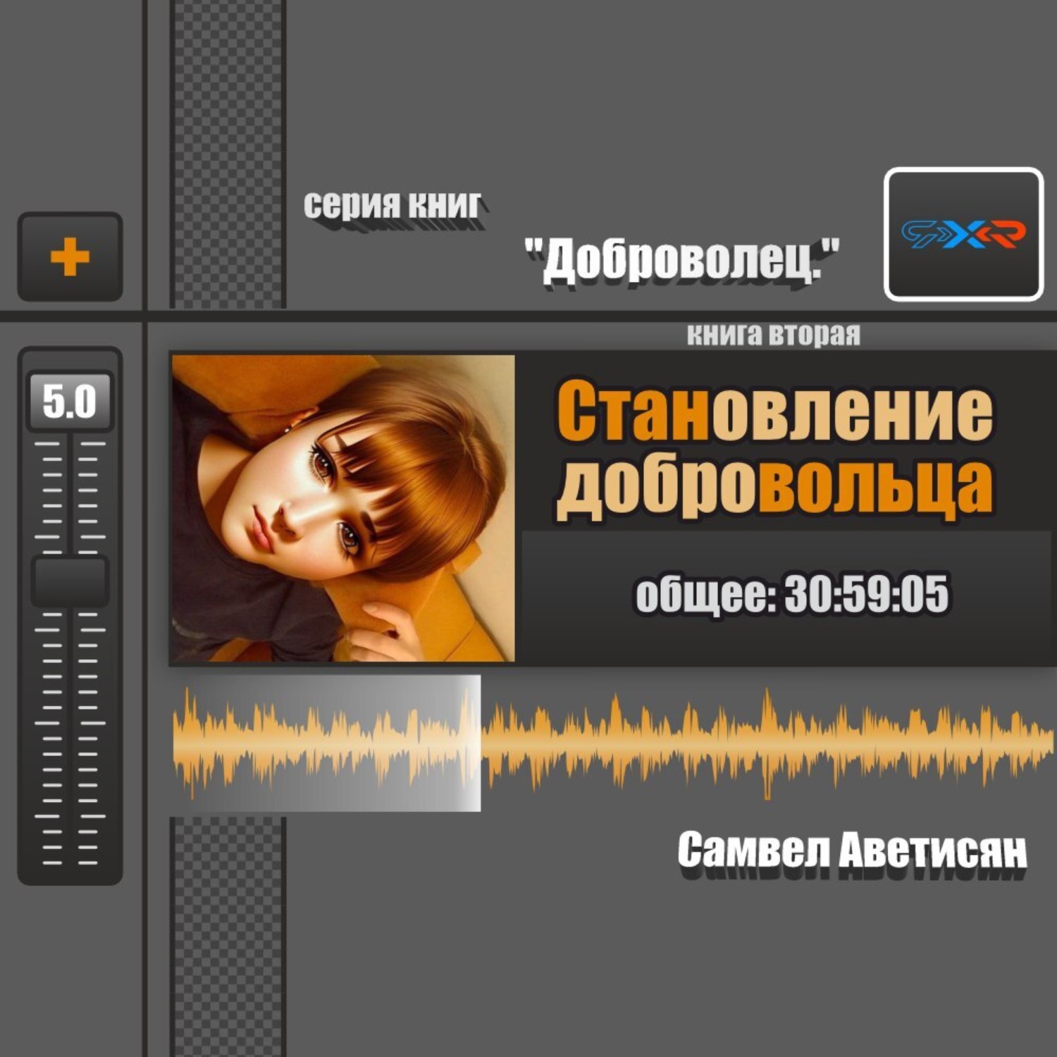 Обложка книги «Становление Добровольца»