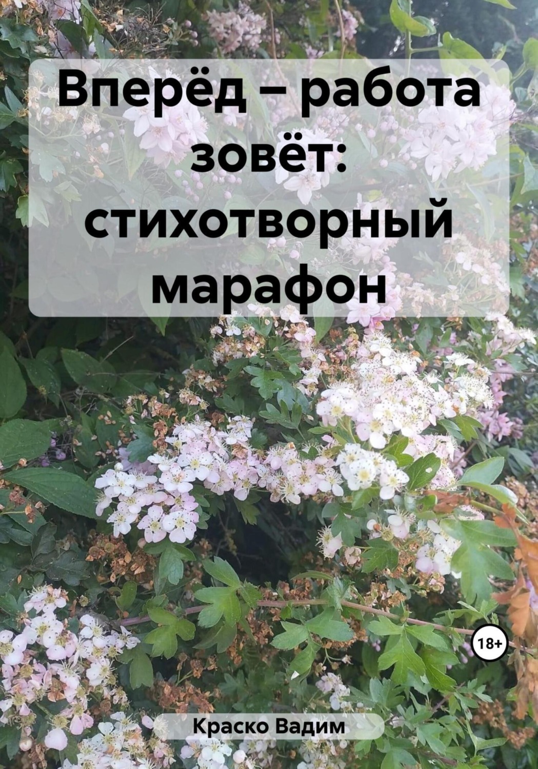 Обложка книги «Вперёд – работа зовёт: стихотворный марафон»