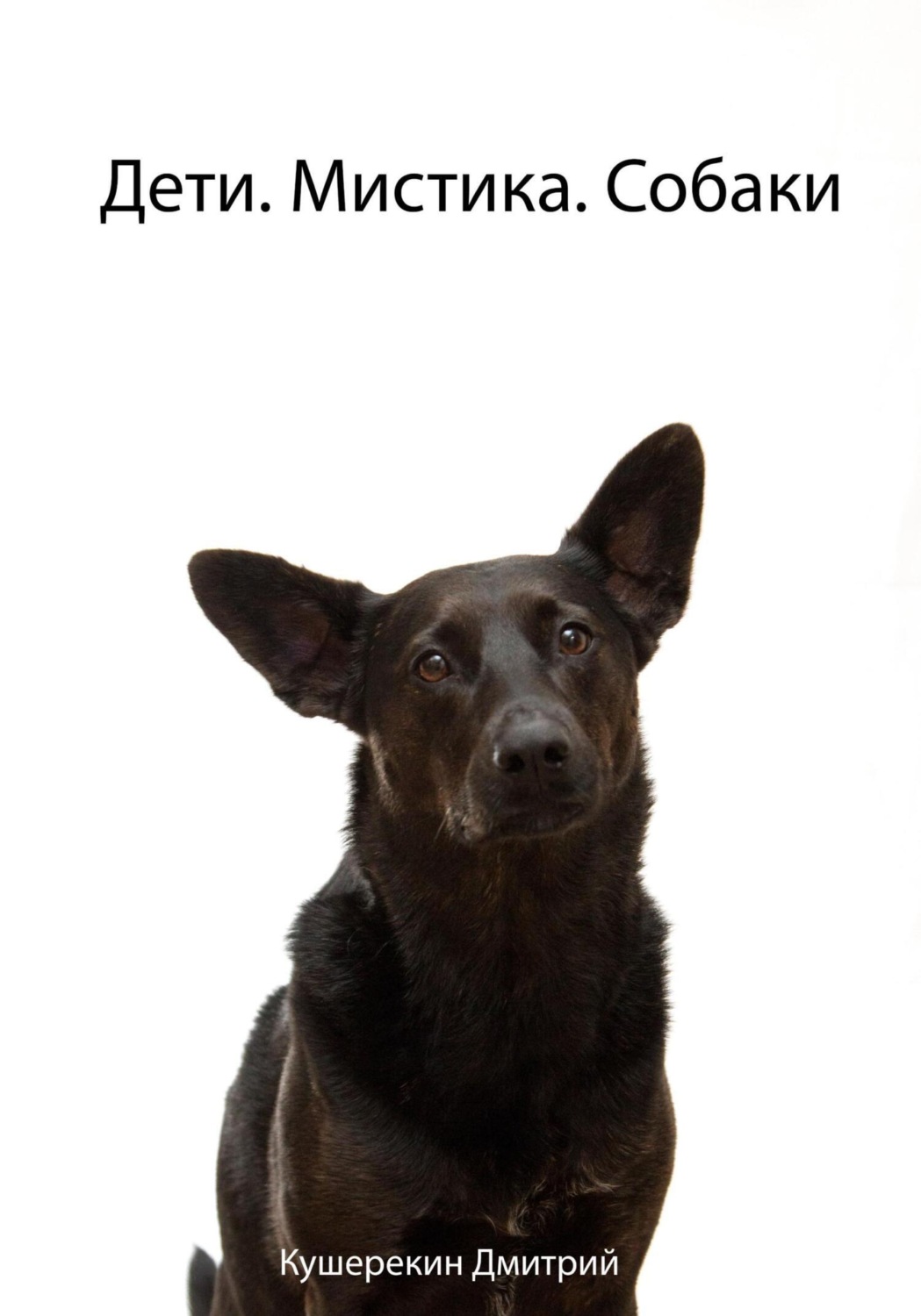 Обложка книги «Дети. Мистика. Собаки»
