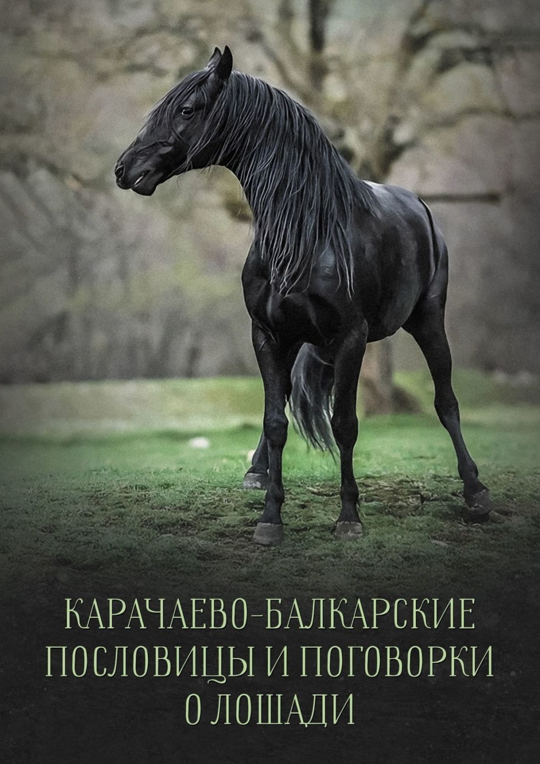 Обложка книги «Карачаево-Балкарские пословицы и поговорки о лошади»