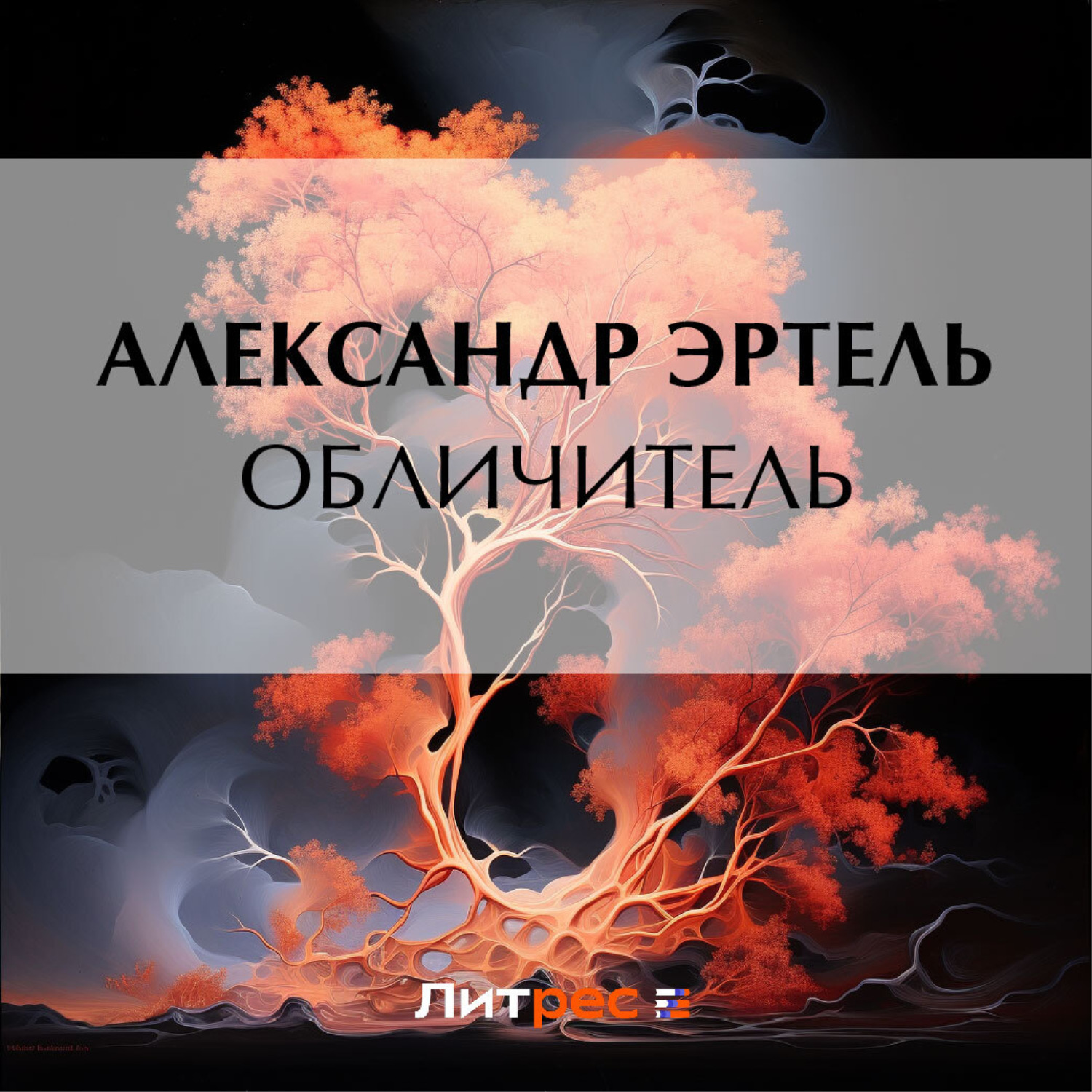Обложка книги «Обличитель»