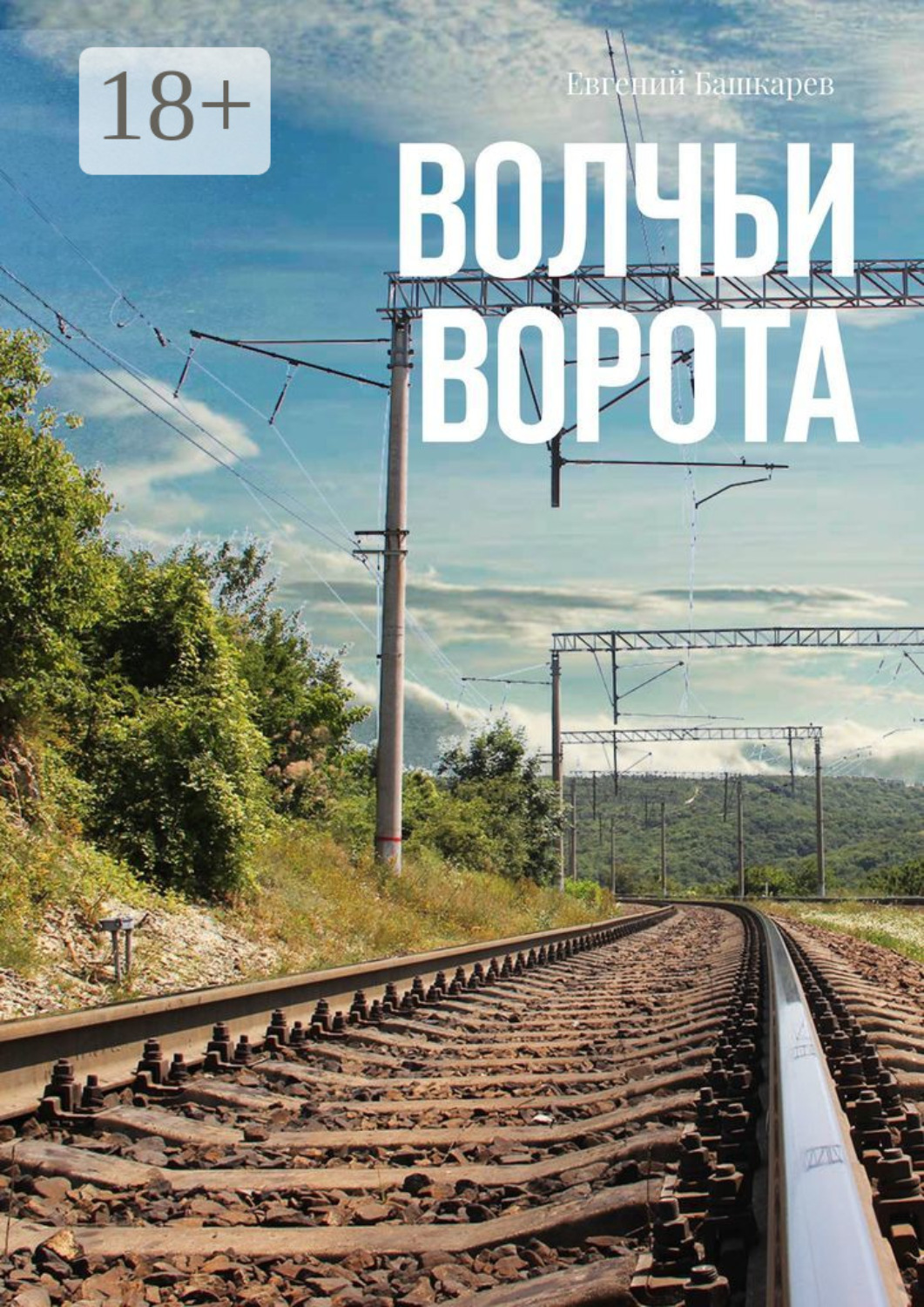 Обложка книги «Волчьи ворота»