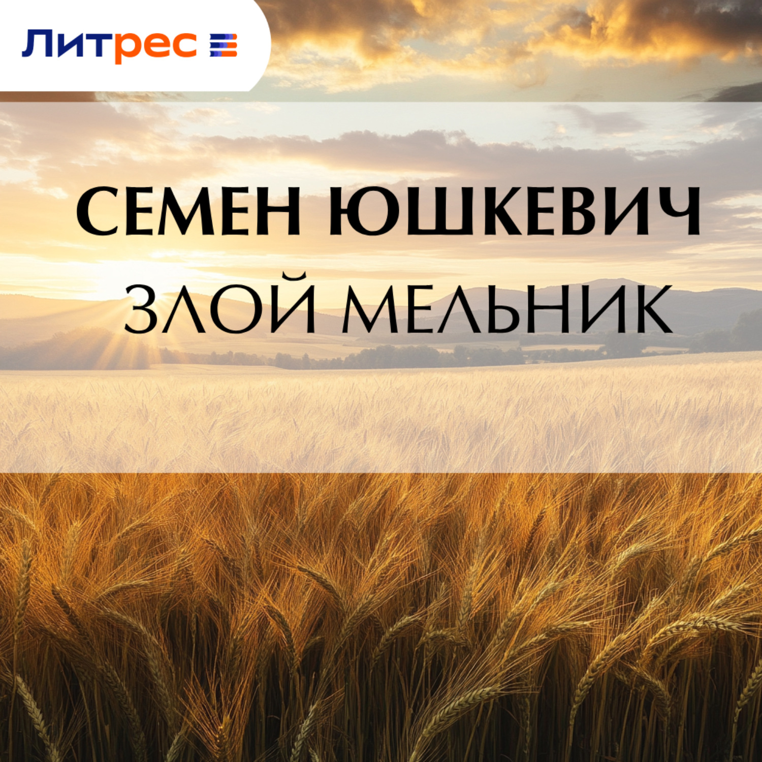 Обложка книги «Злой мельник»