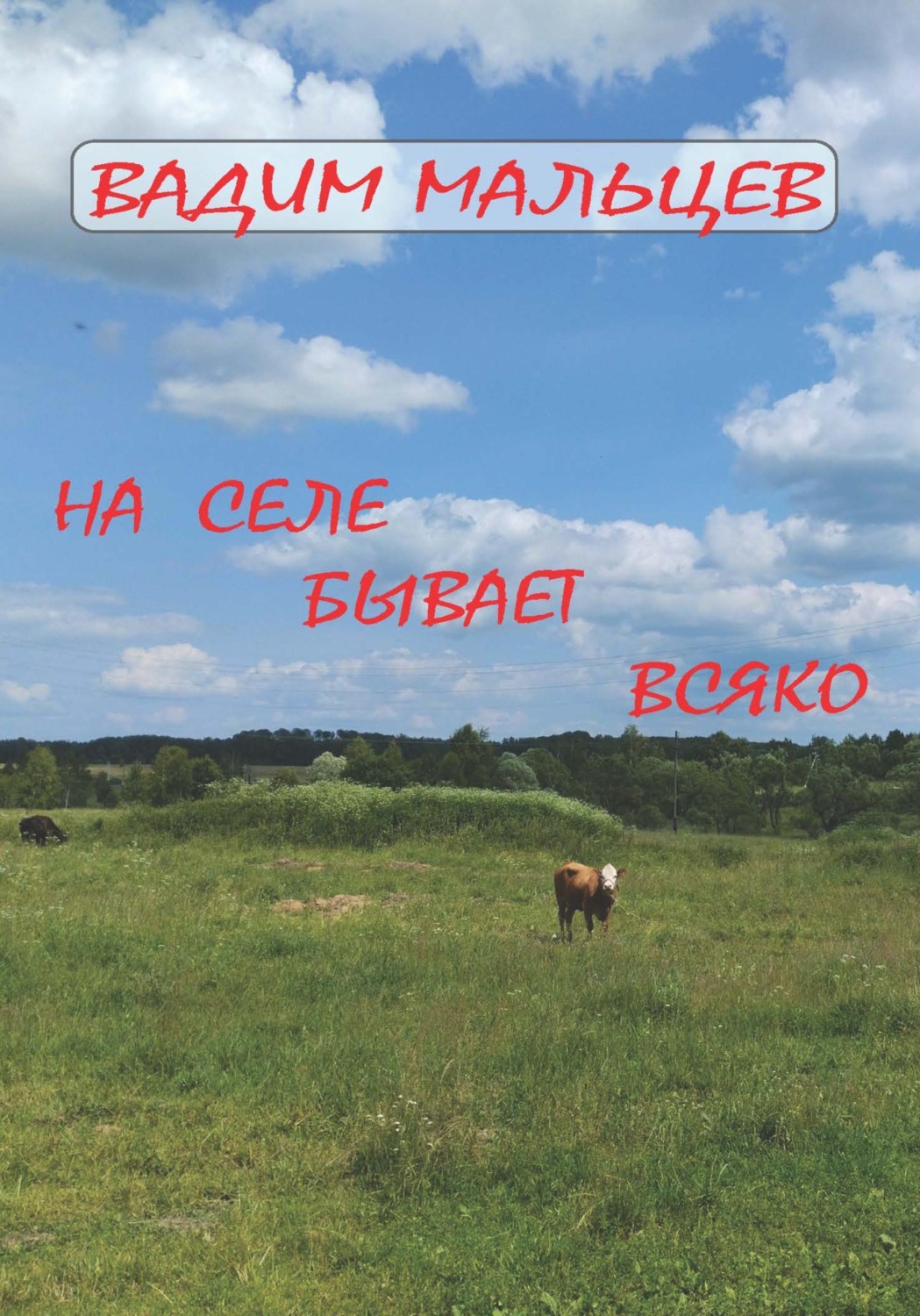 Обложка книги «На селе бывает всяко»