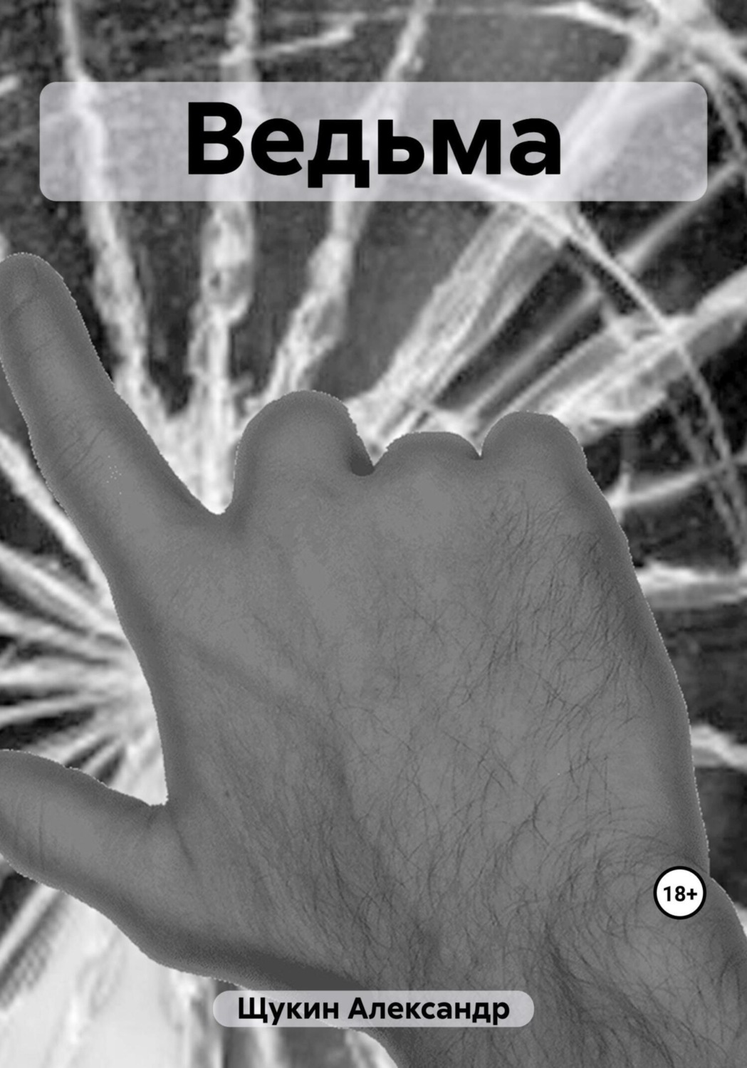 Обложка книги «Ведьма»