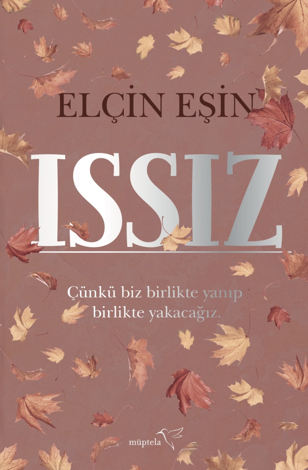 Обложка книги «Issız»