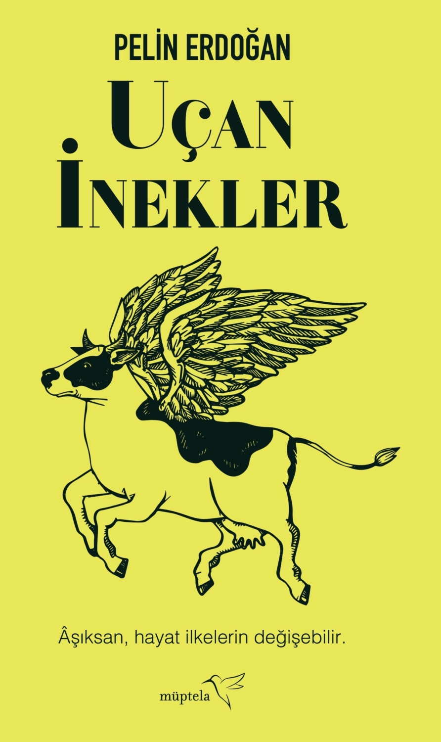 Обложка книги «Uçan inekler»