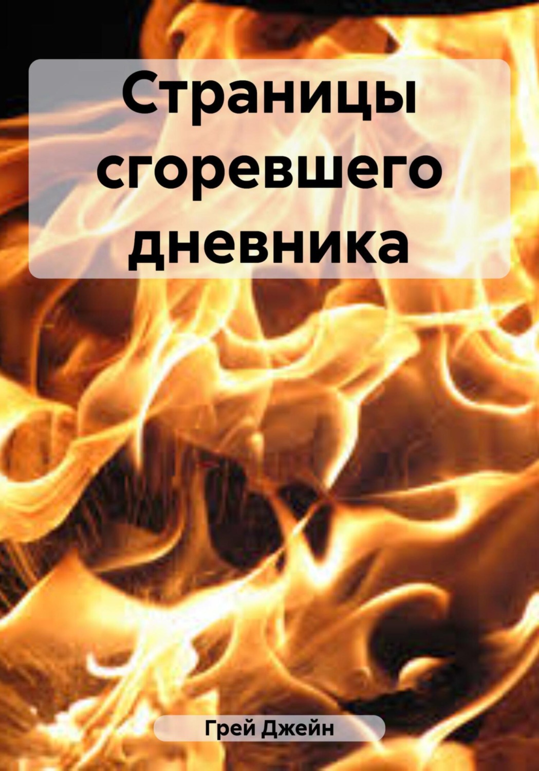 Обложка книги «Страницы сгоревшего дневника»