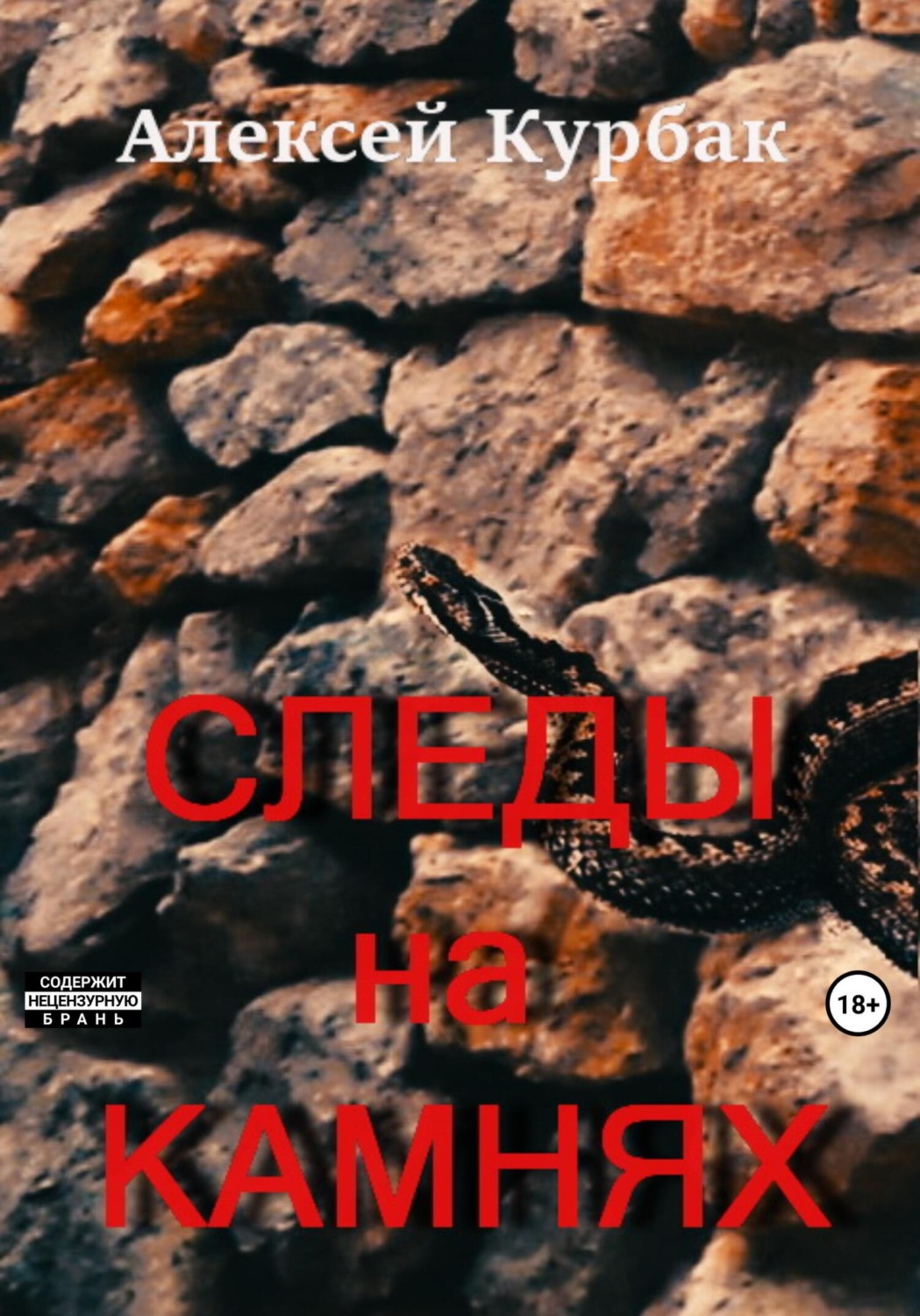 Обложка книги «Следы на камнях»