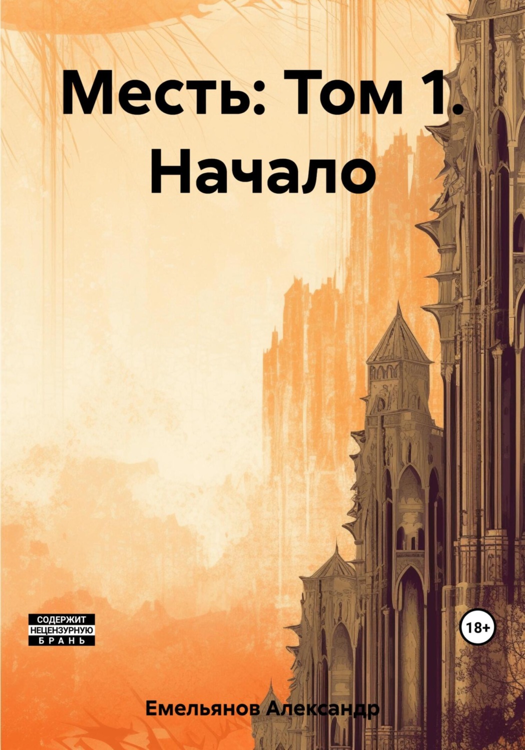 Обложка книги «Месть: Том 1. Начало»
