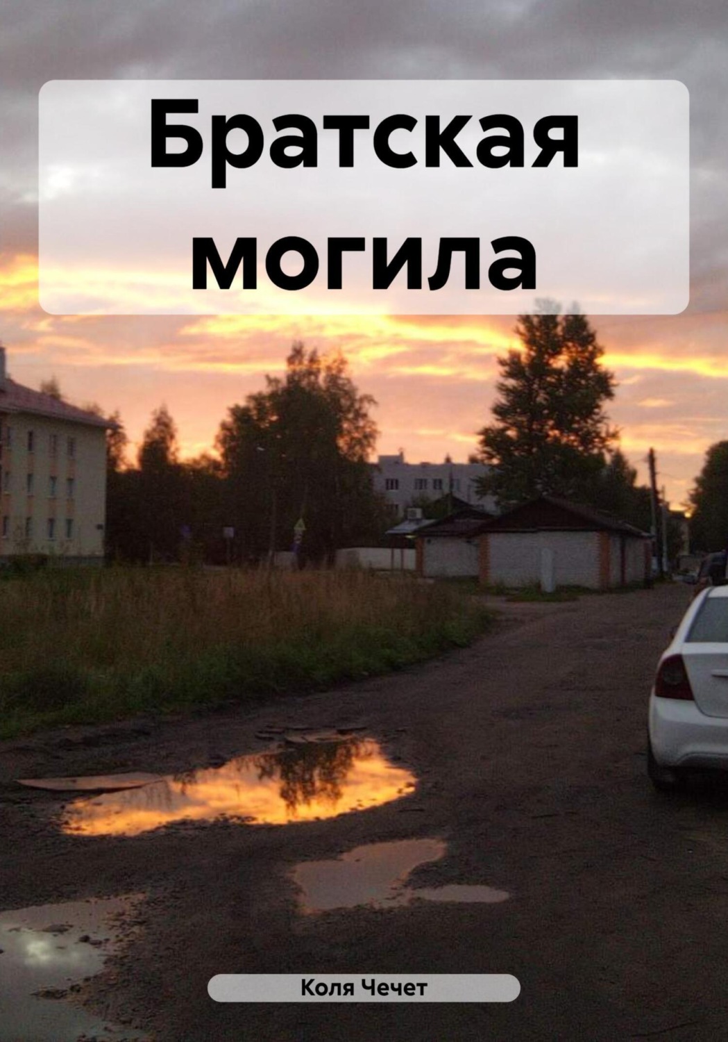 Обложка книги «Братская могила»