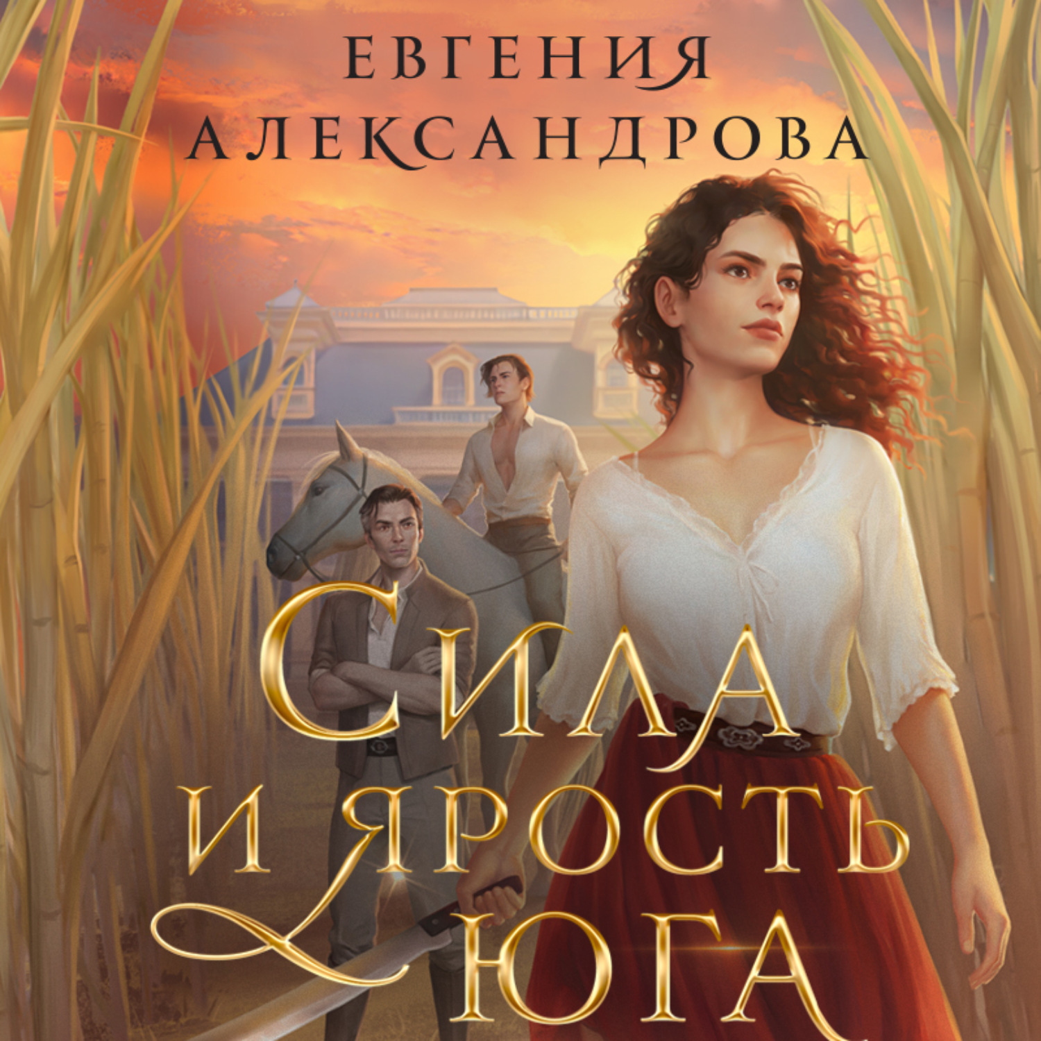 Обложка книги «Сила и ярость Юга»