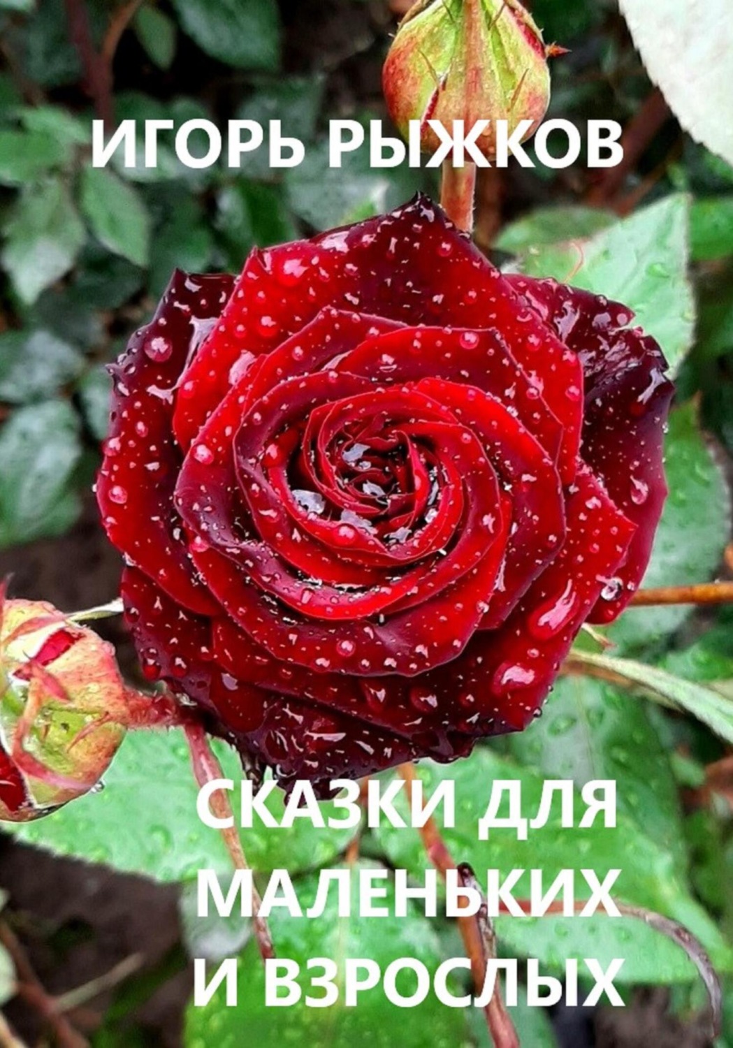 Обложка книги «Сказки для маленьких и взрослых»