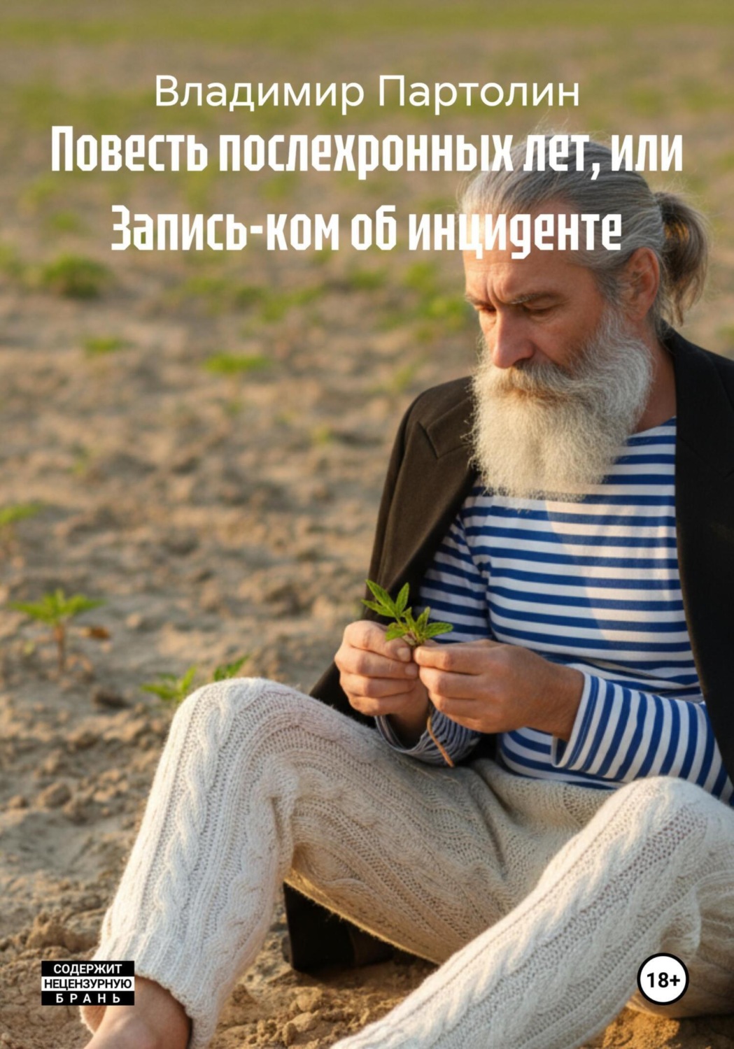 Обложка книги «Повесть послехронных лет, или Запись-ком об инциденте»