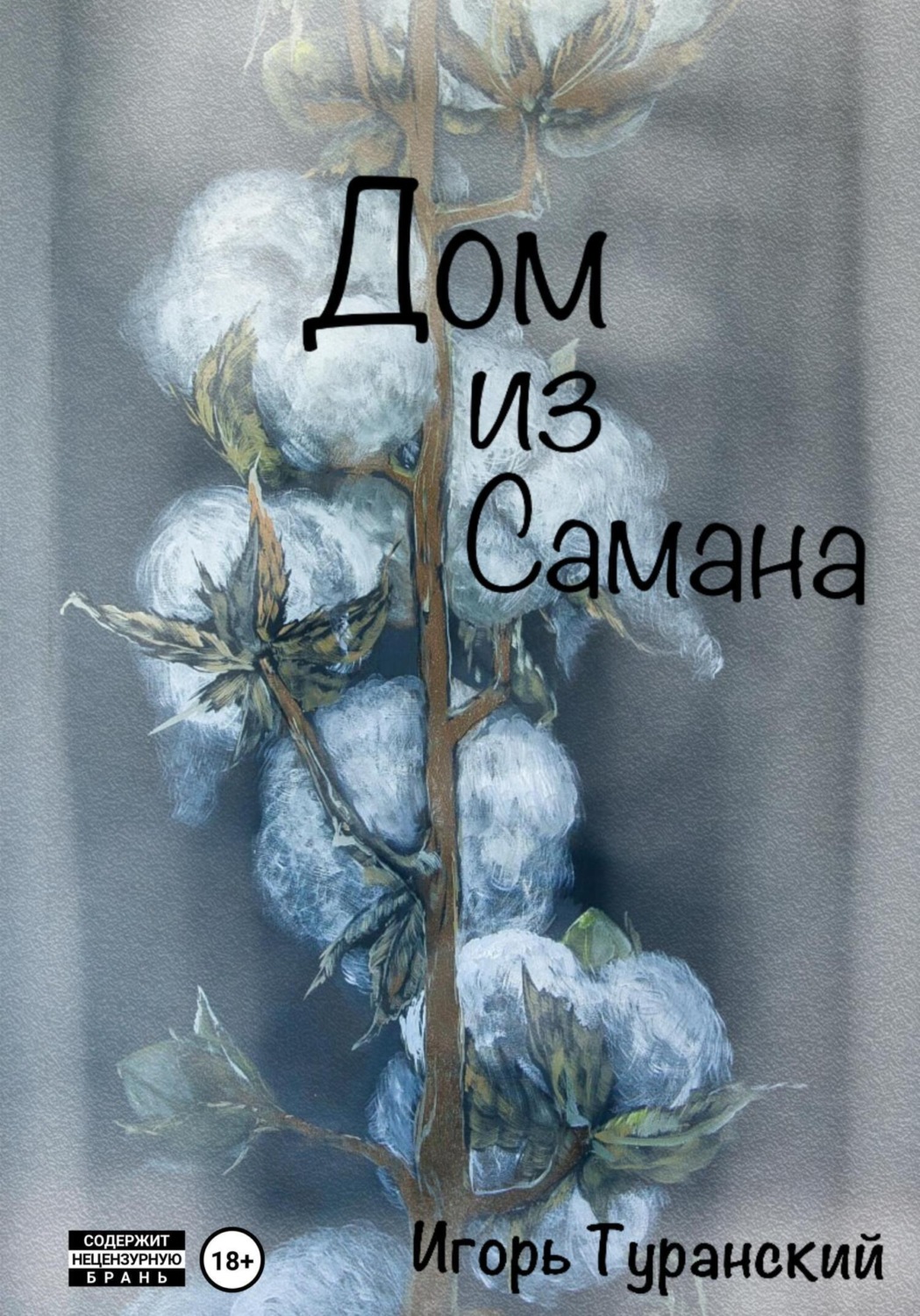 Обложка книги «Дом из самана»
