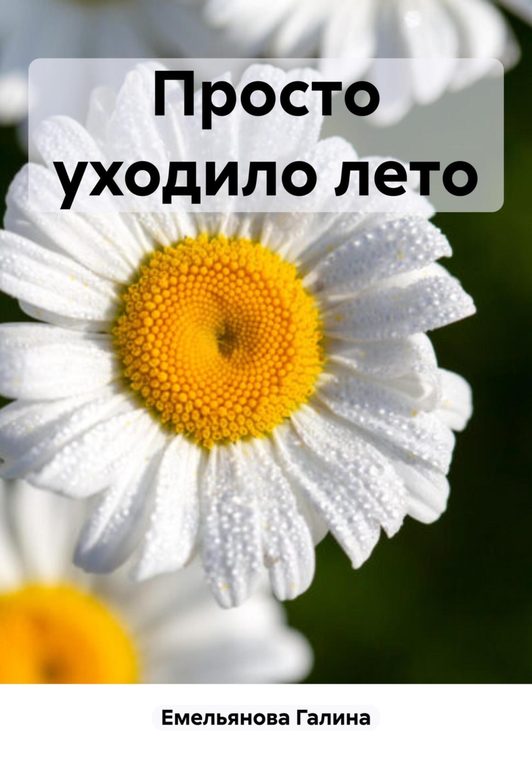 Обложка книги «Просто уходило лето»