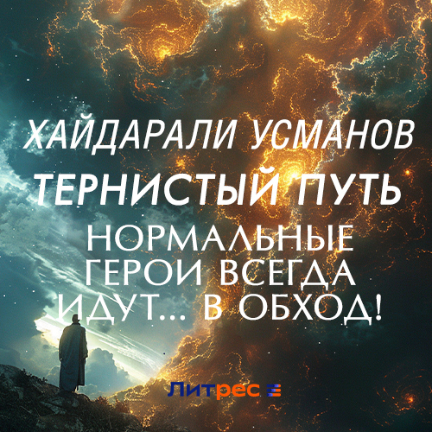 Обложка книги «Тернистый путь. Нормальные герои всегда идут… в обход!»