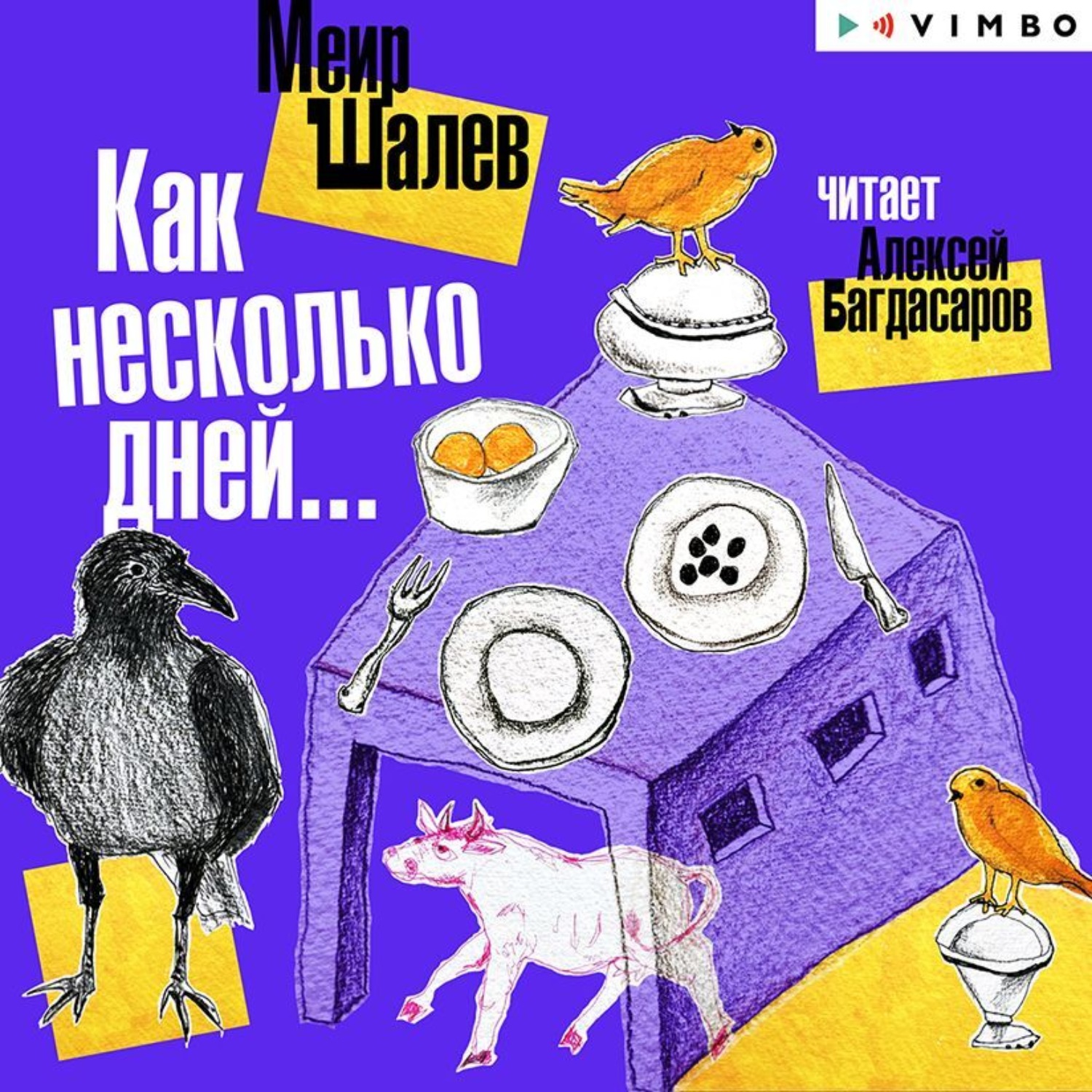 Обложка книги «Как несколько дней…»
