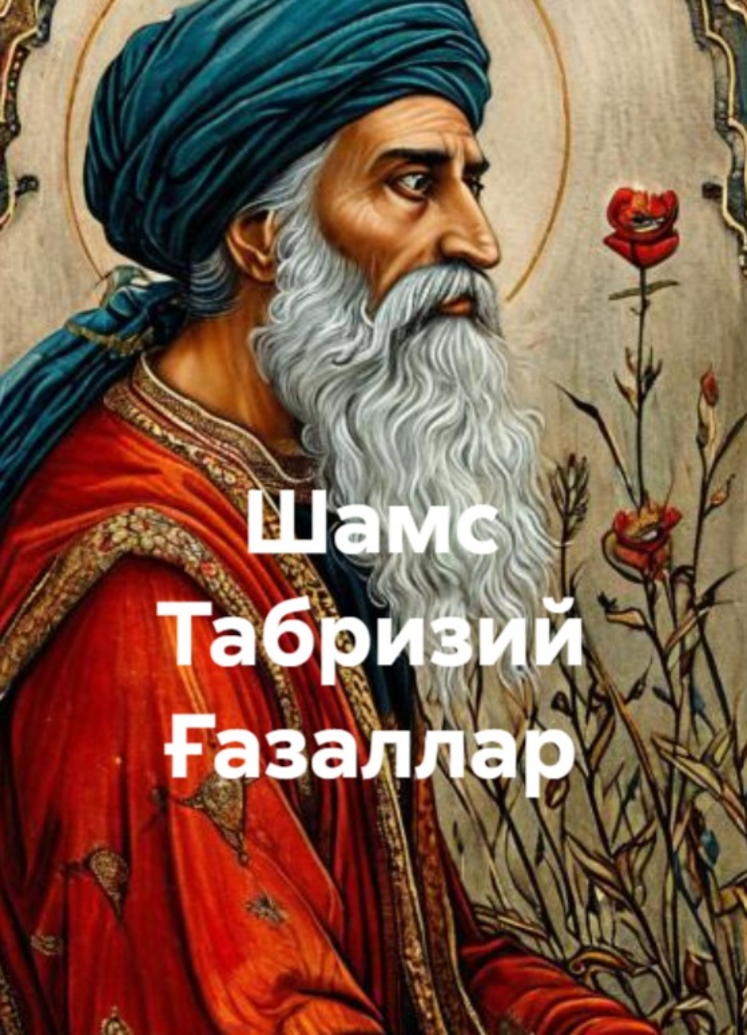 Обложка книги «Шамс Табризий»