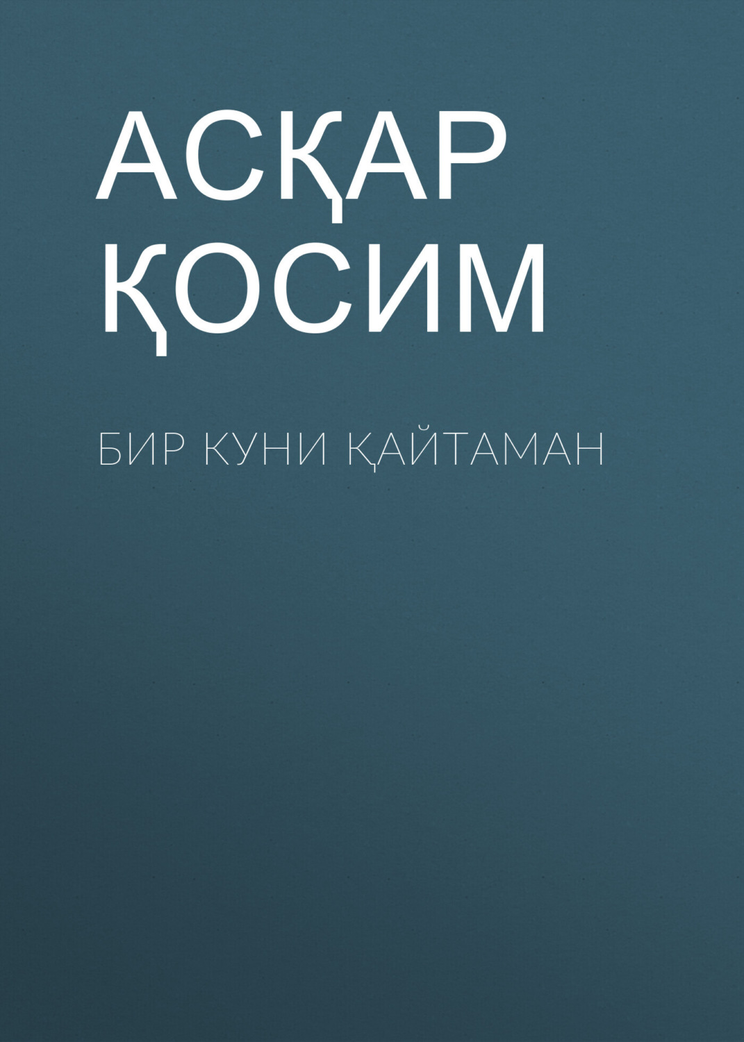Обложка книги «Бир куни қайтаман»