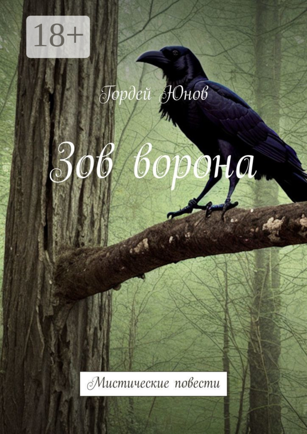 Обложка книги «Зов ворона. Мистические повести»