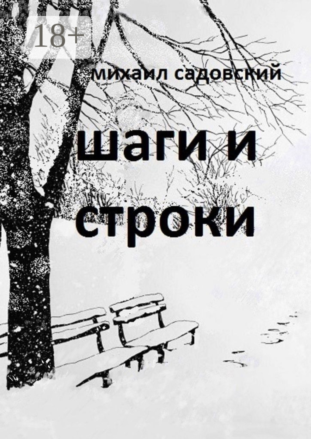 Обложка книги «Шаги и строки. Книга стихов»